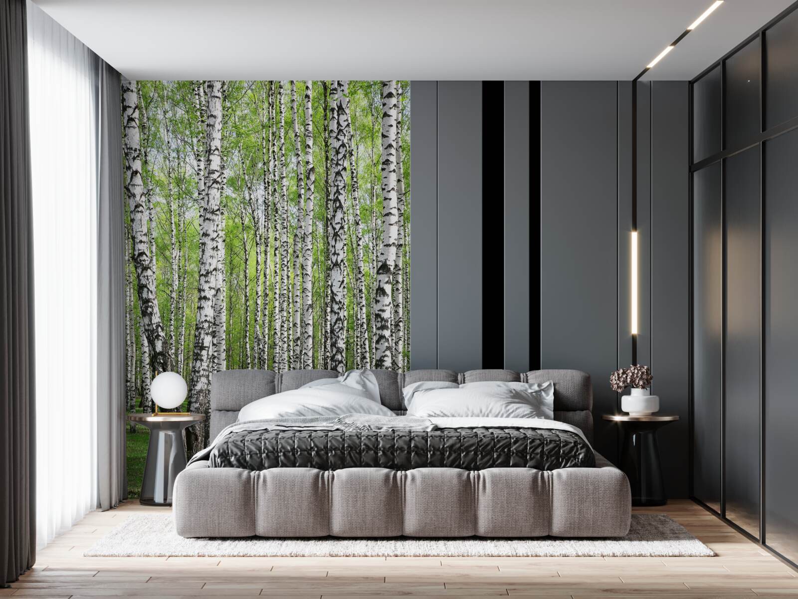 Fototapeta krásny brezový les