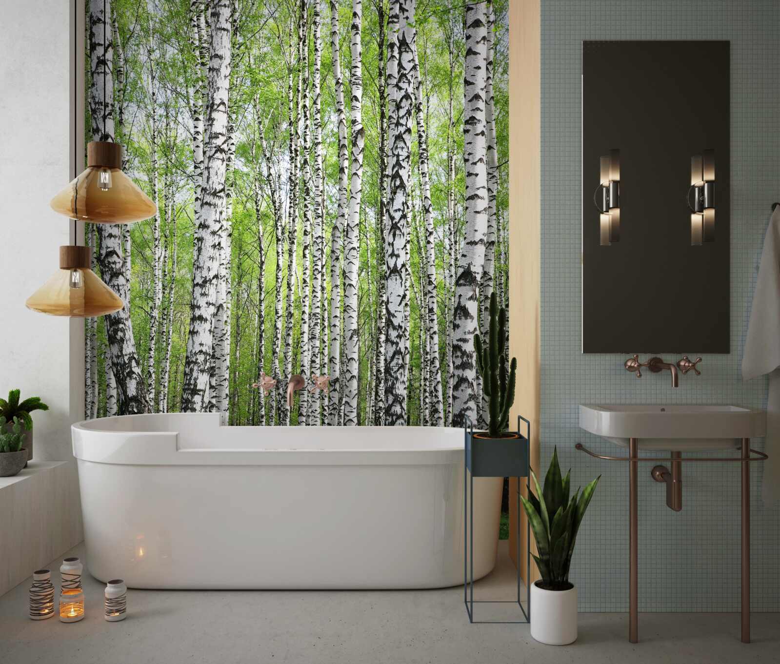 Fototapeta krásny brezový les