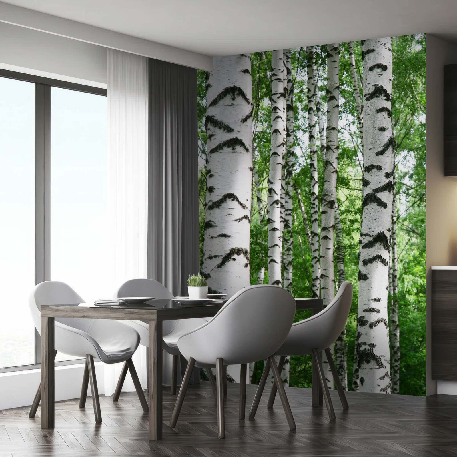 Fototapeta rady štíhlych briez