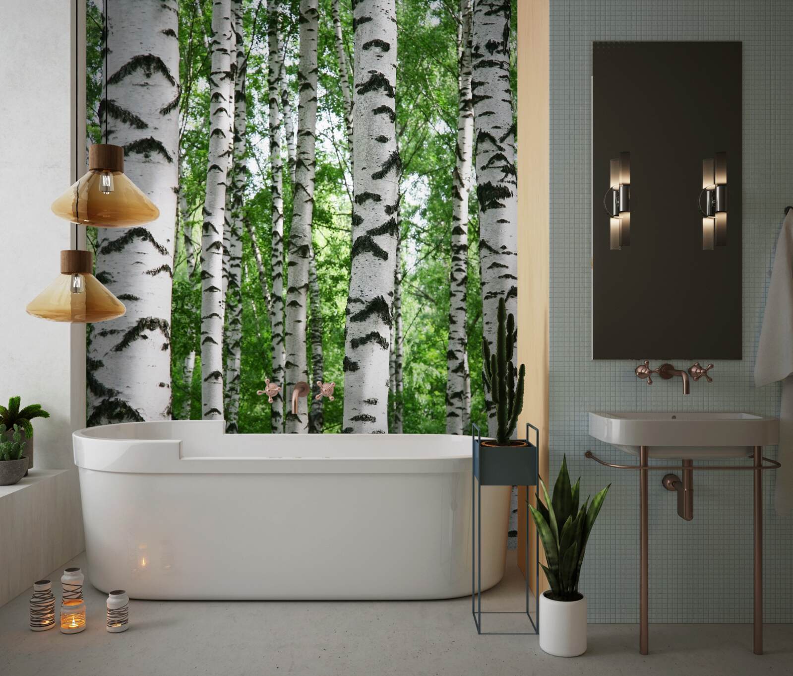 Fototapeta rady štíhlych briez