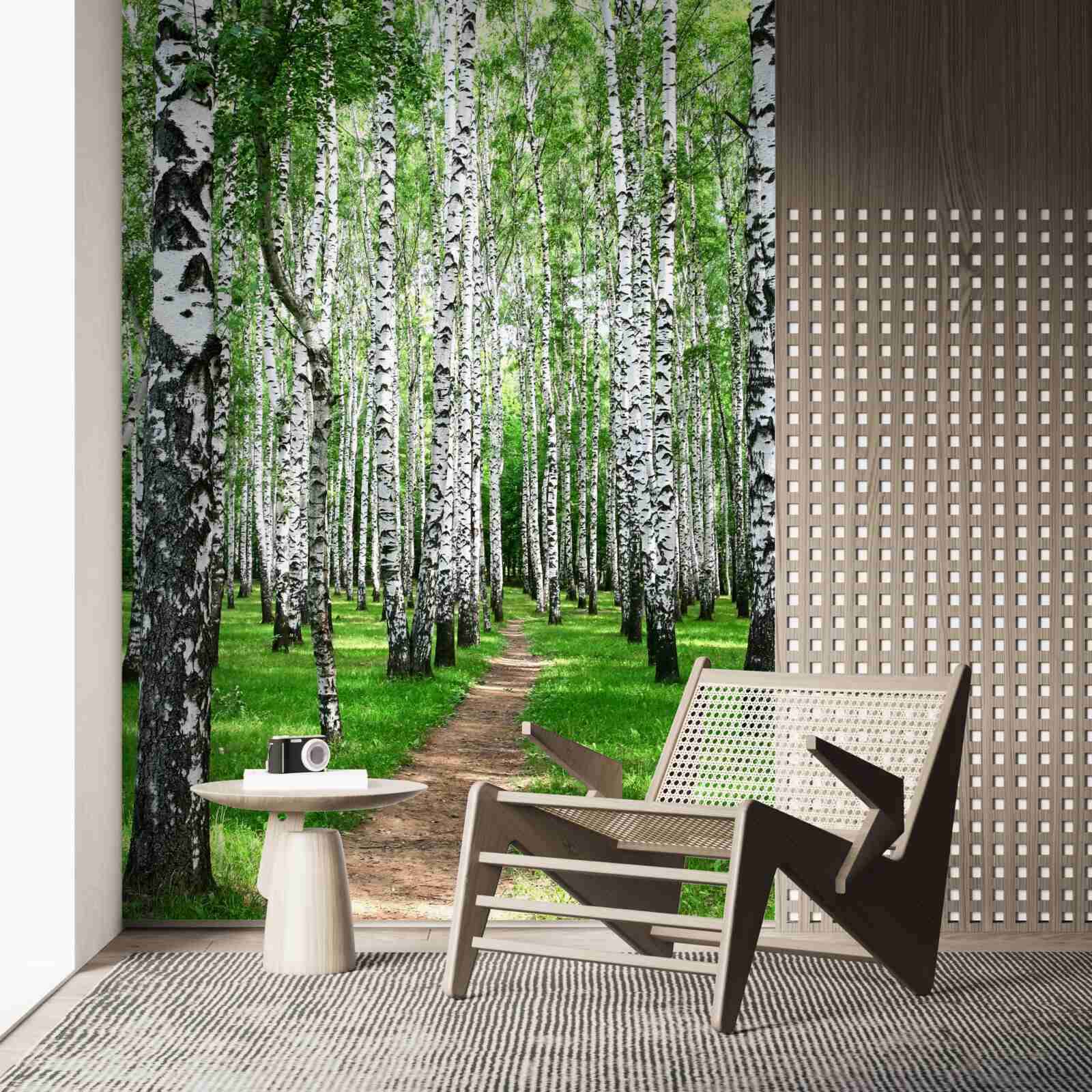 Fototapeta cesta medzi brezami