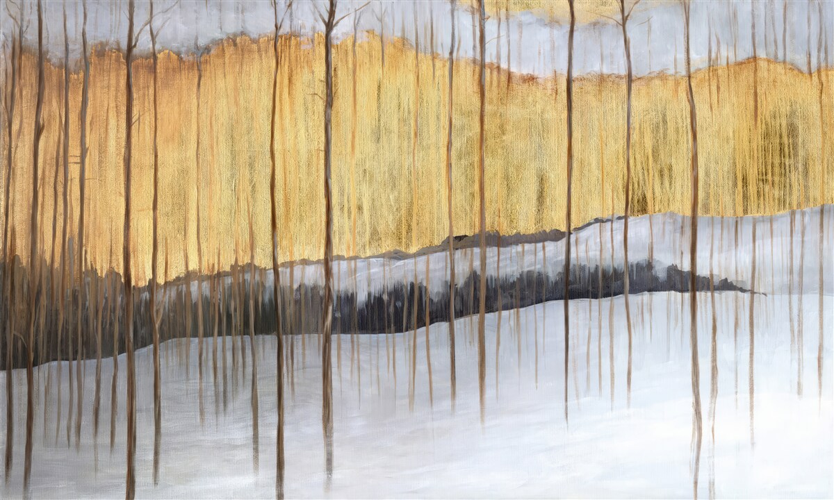 Fototapeta obrysy pôvabných kmeňov stromov