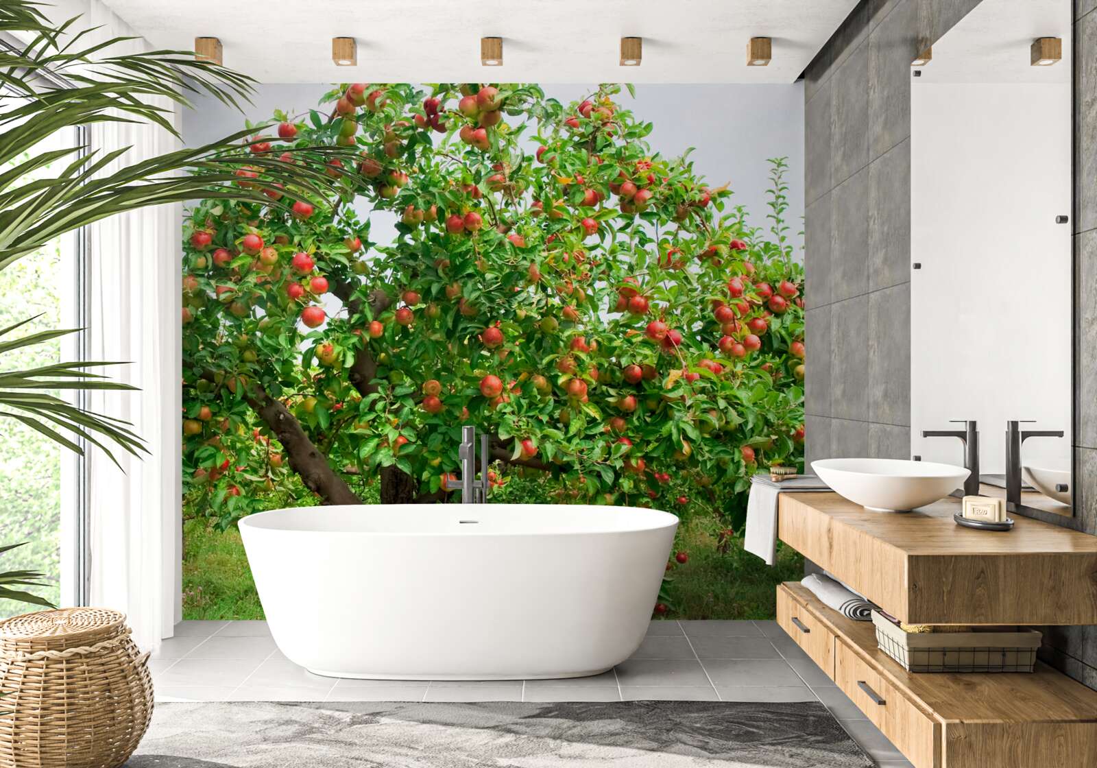 Fototapeta jabloň, ktorá rodila ovocie