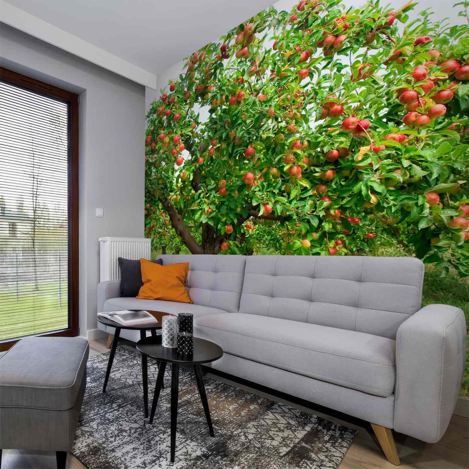 Fototapeta jabloň, ktorá rodila ovocie