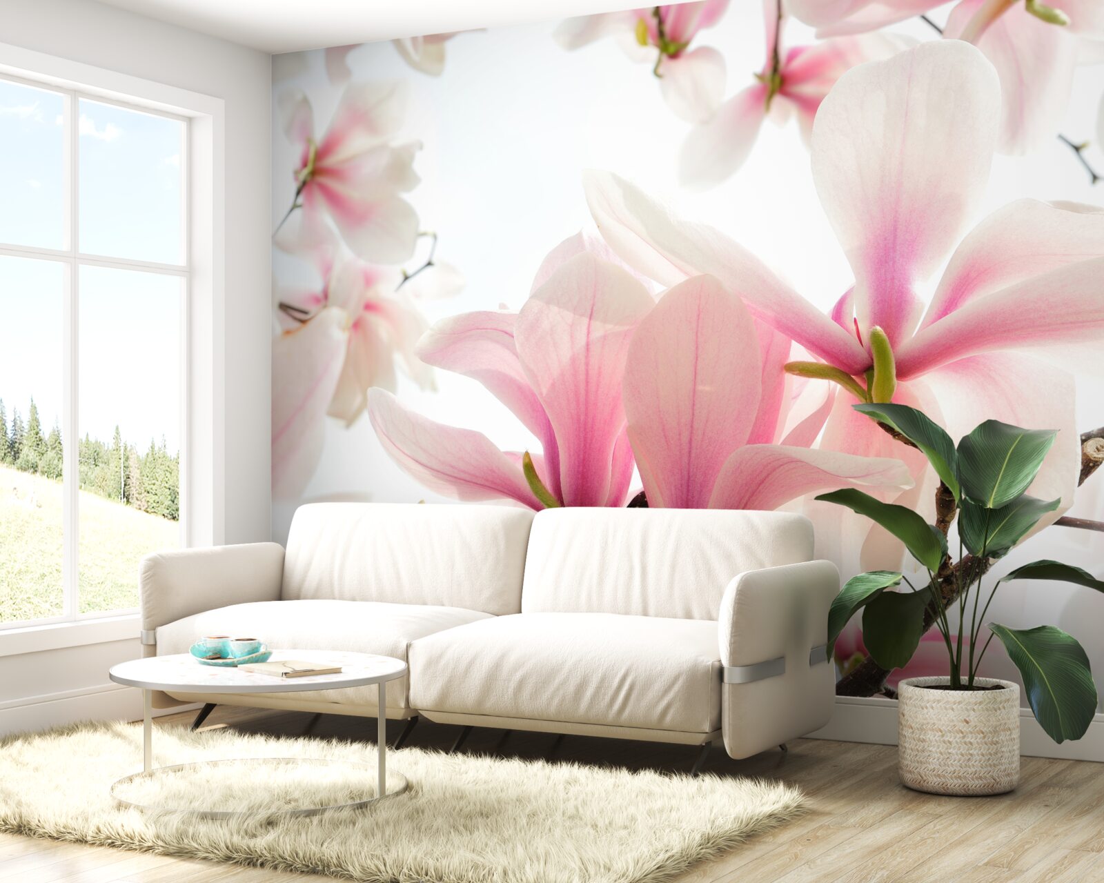 Fototapeta kvitnúce magnólie