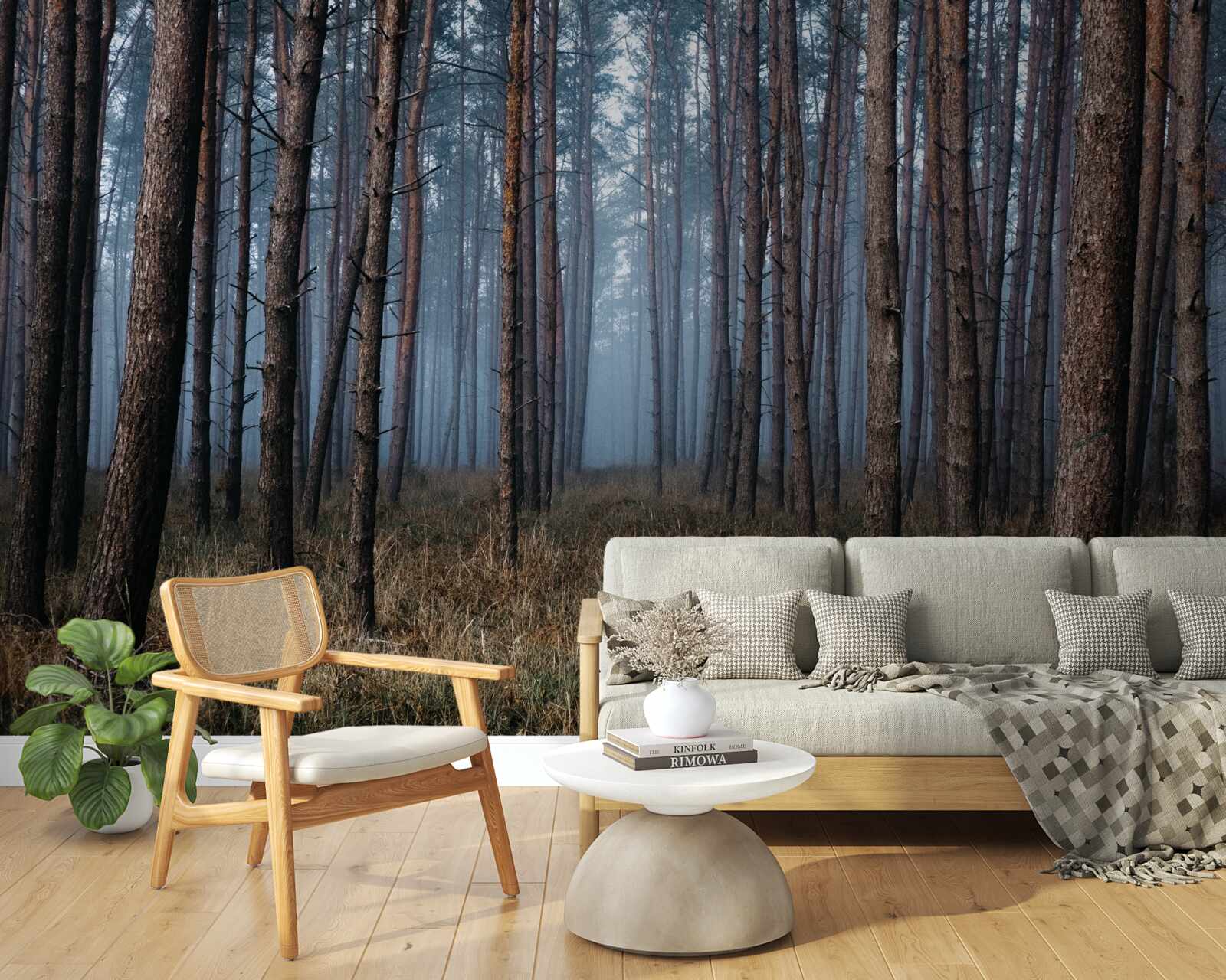 Fototapeta tmavý borovicový les