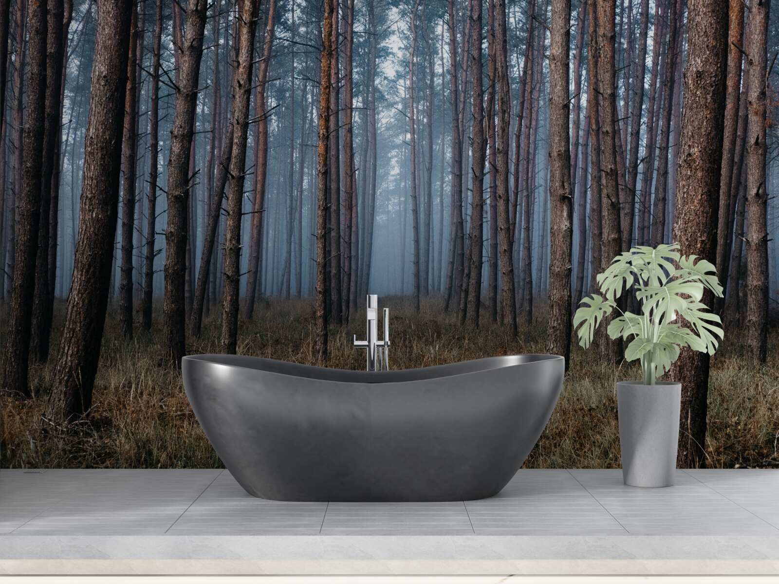 Fototapeta tmavý borovicový les