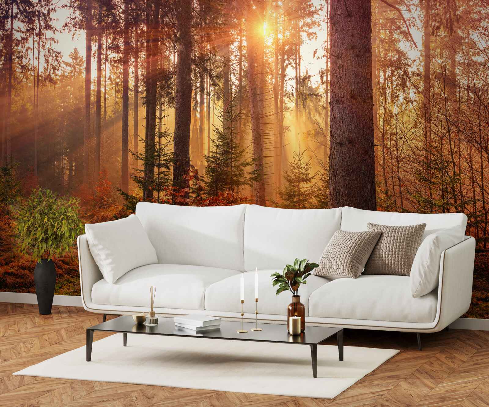 Fototapeta les na jeseň osvetlený slnečnými lúčmi