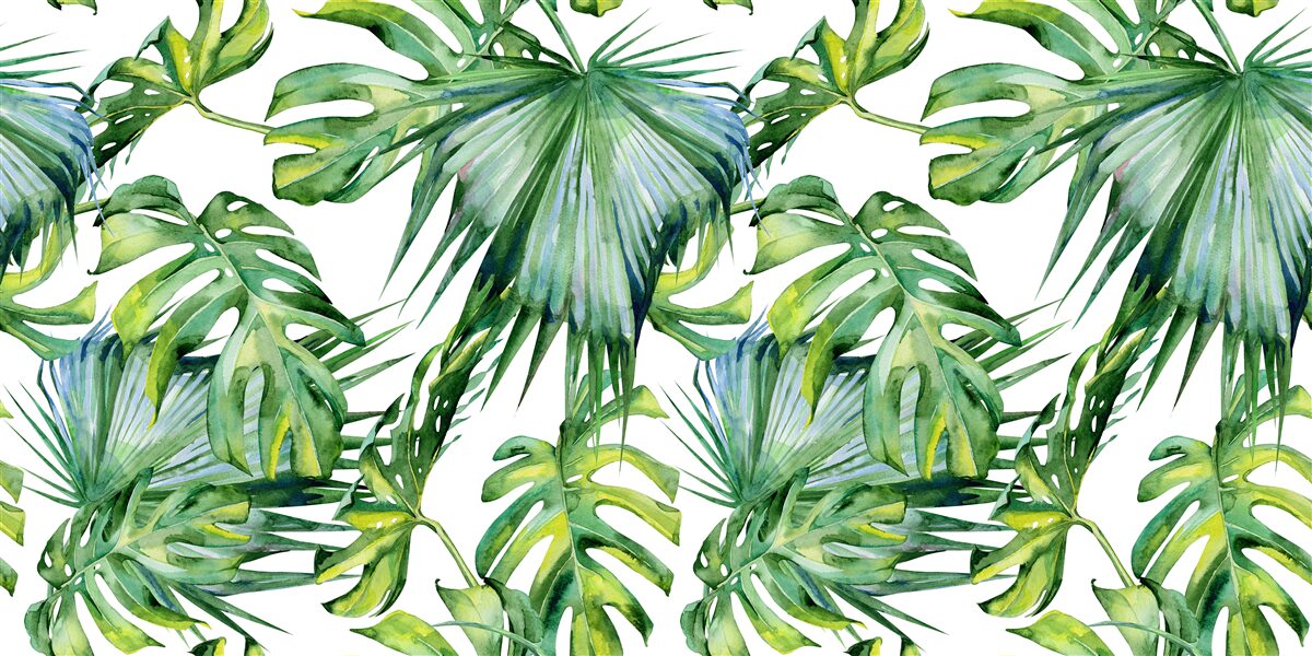 Fototapeta veľké množstvo zelených rastlín