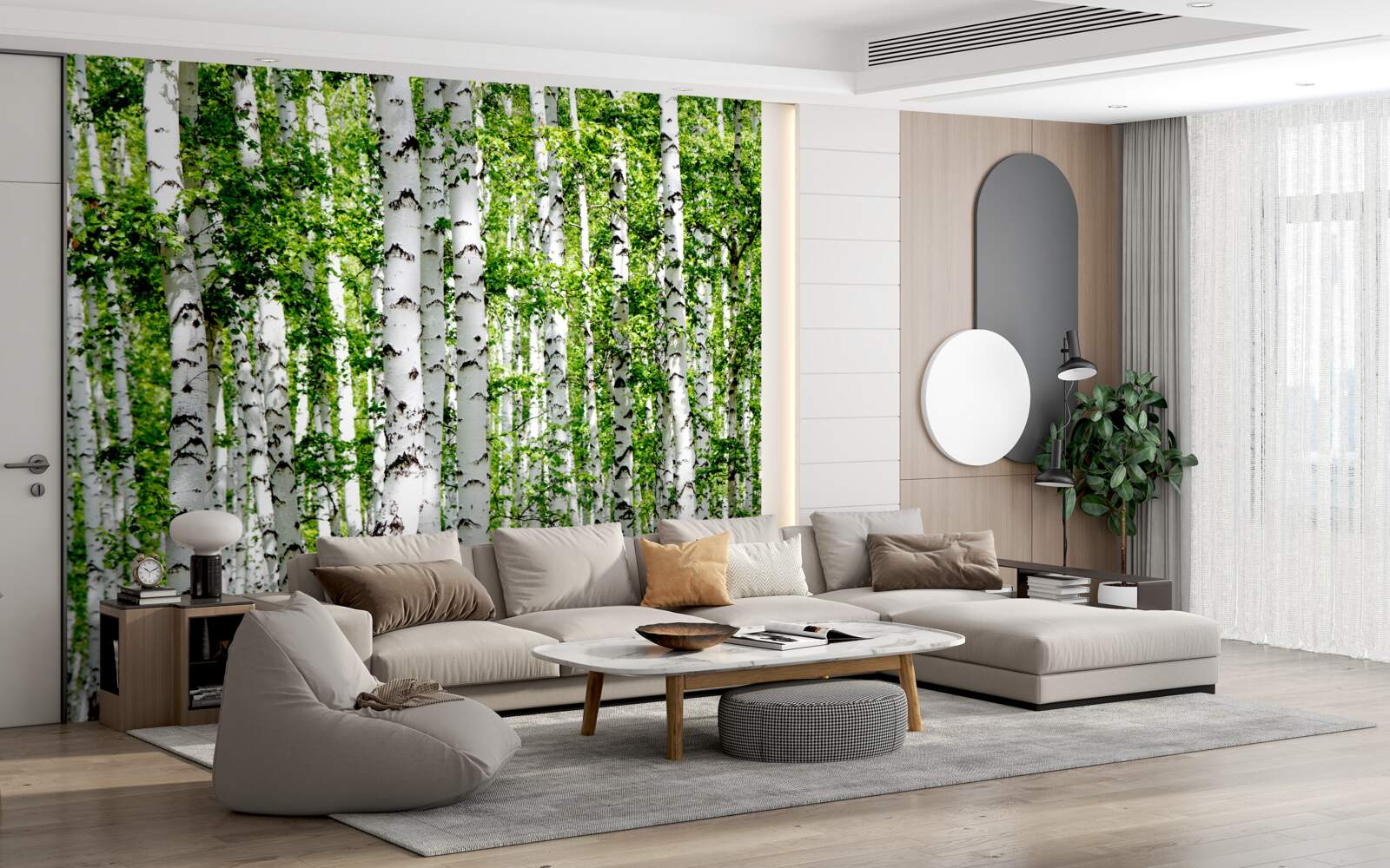 Fototapeta pôvabné brezy so zelenými listami