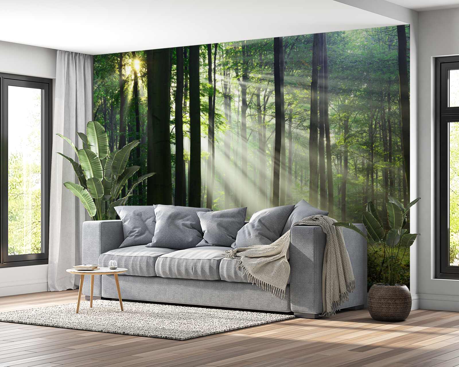 Fototapeta ranný les