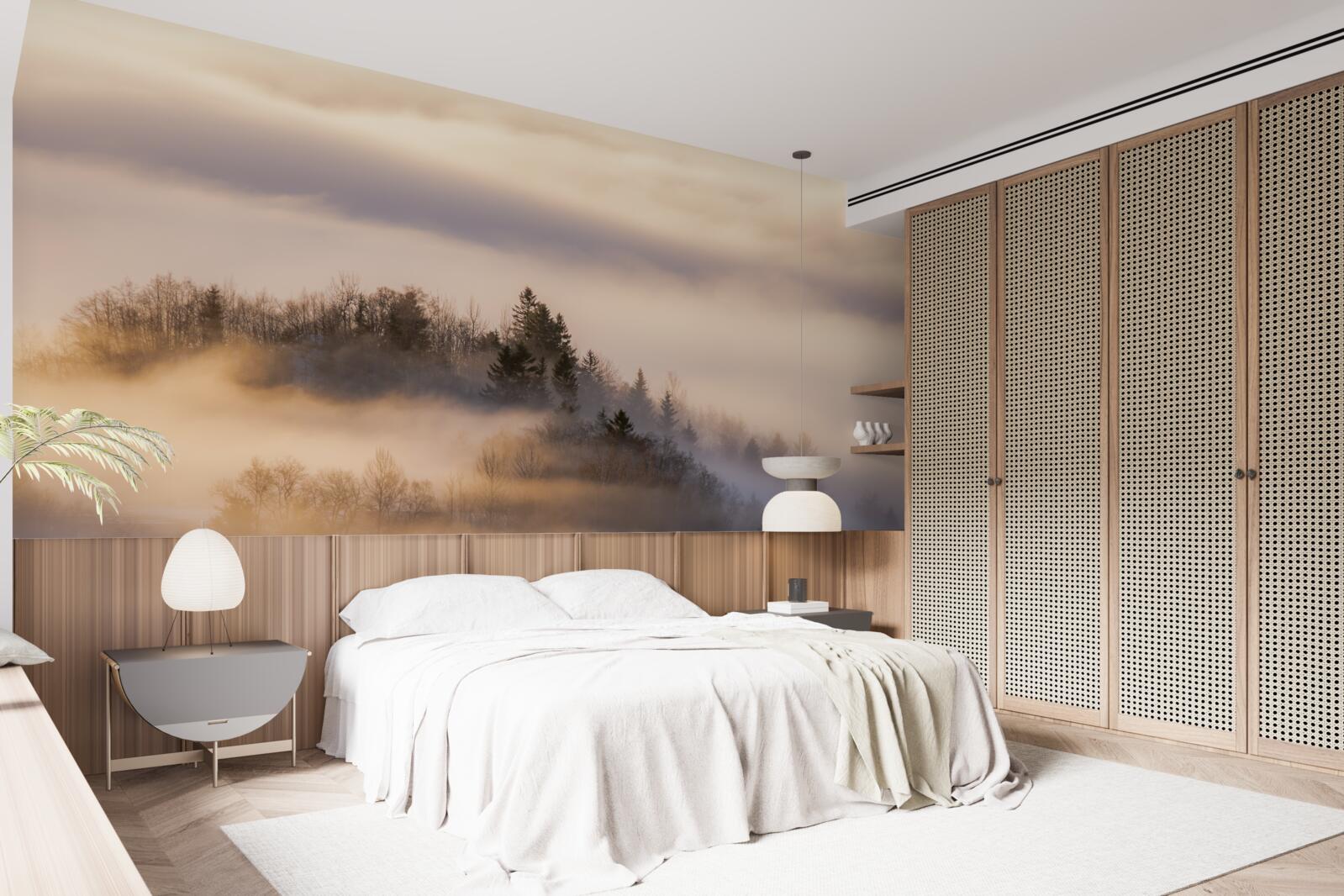 Fototapeta hustá hmla medzi stromami