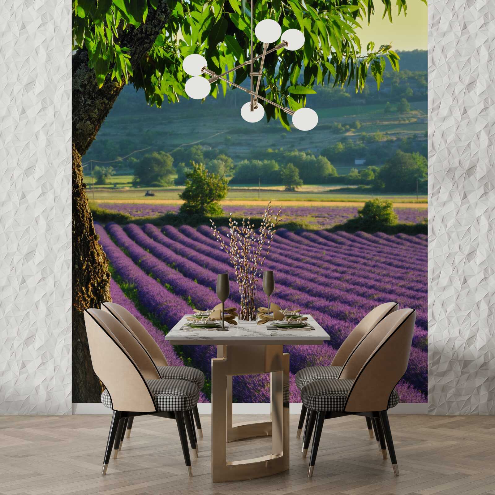 Fototapeta pole voňajúce levanduľou