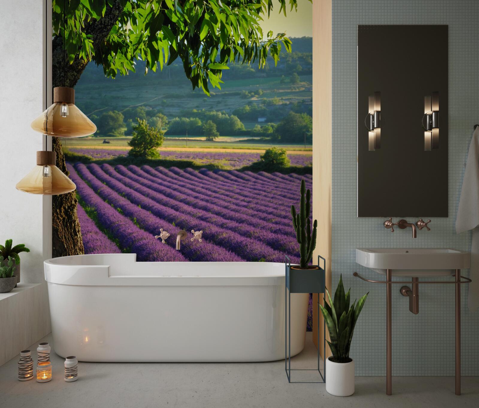 Fototapeta pole voňajúce levanduľou