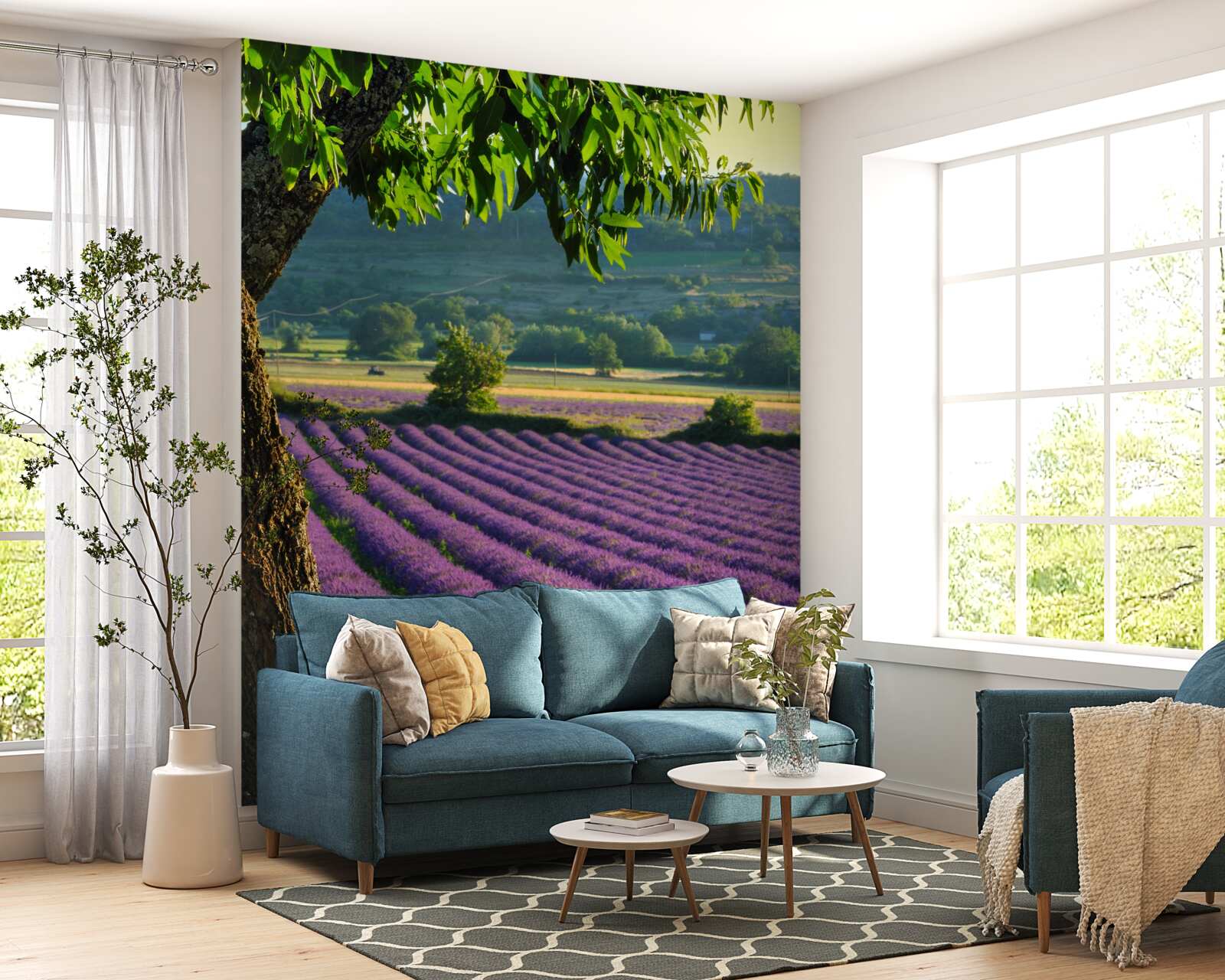 Fototapeta pole voňajúce levanduľou