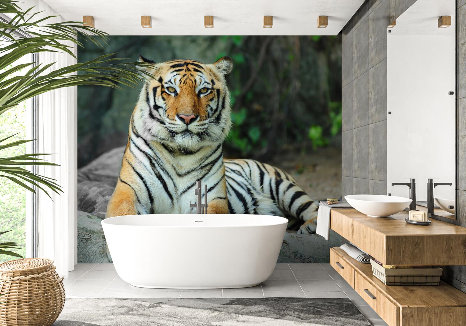 Fototapeta krásny tiger na dovolenke