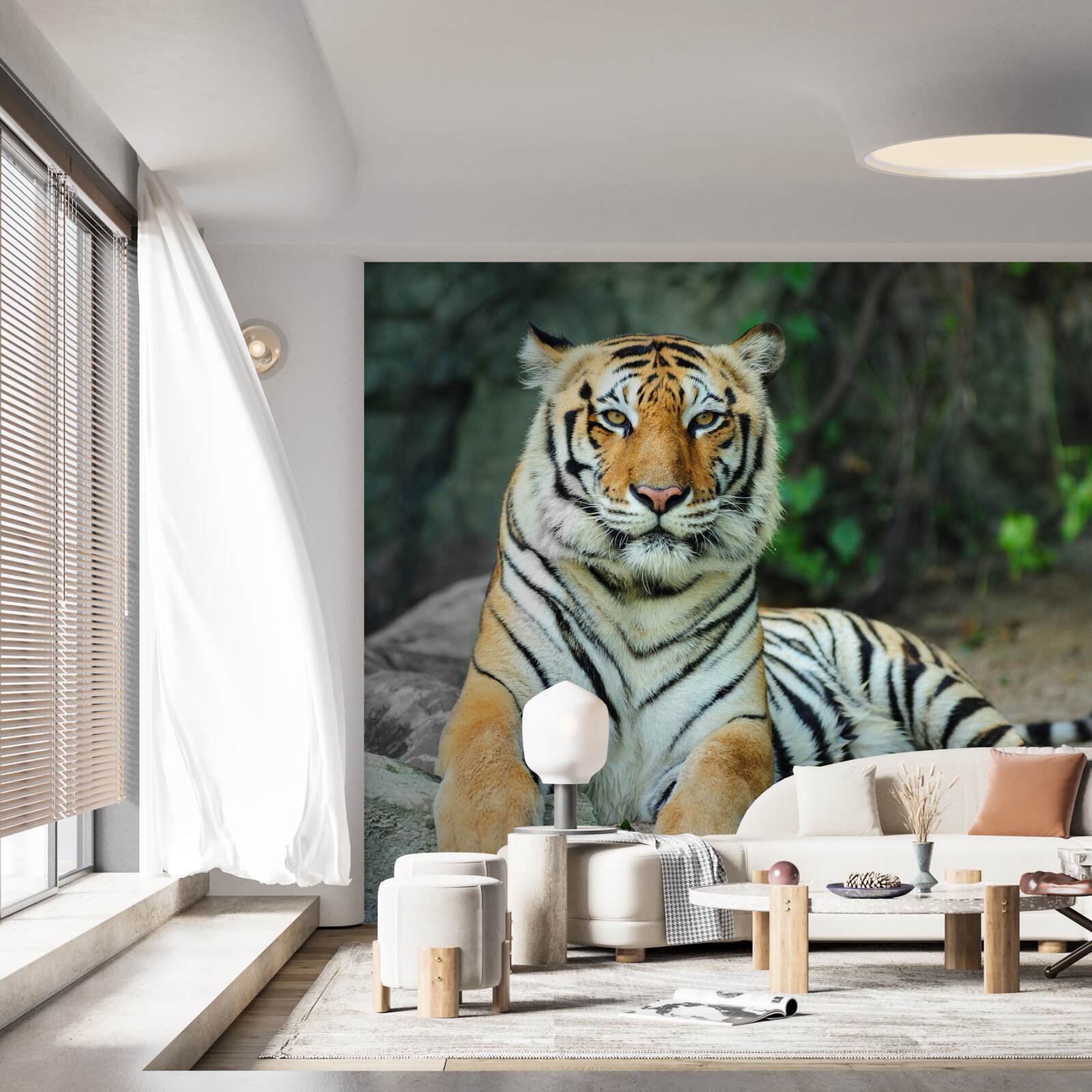 Fototapeta krásny tiger na dovolenke