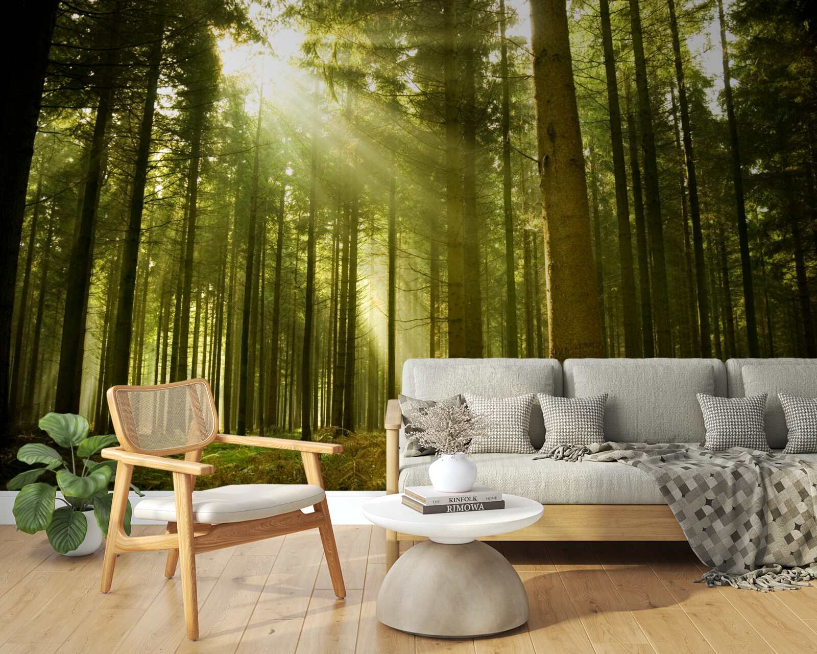 Fototapeta slnečné lúče osvetľujú les