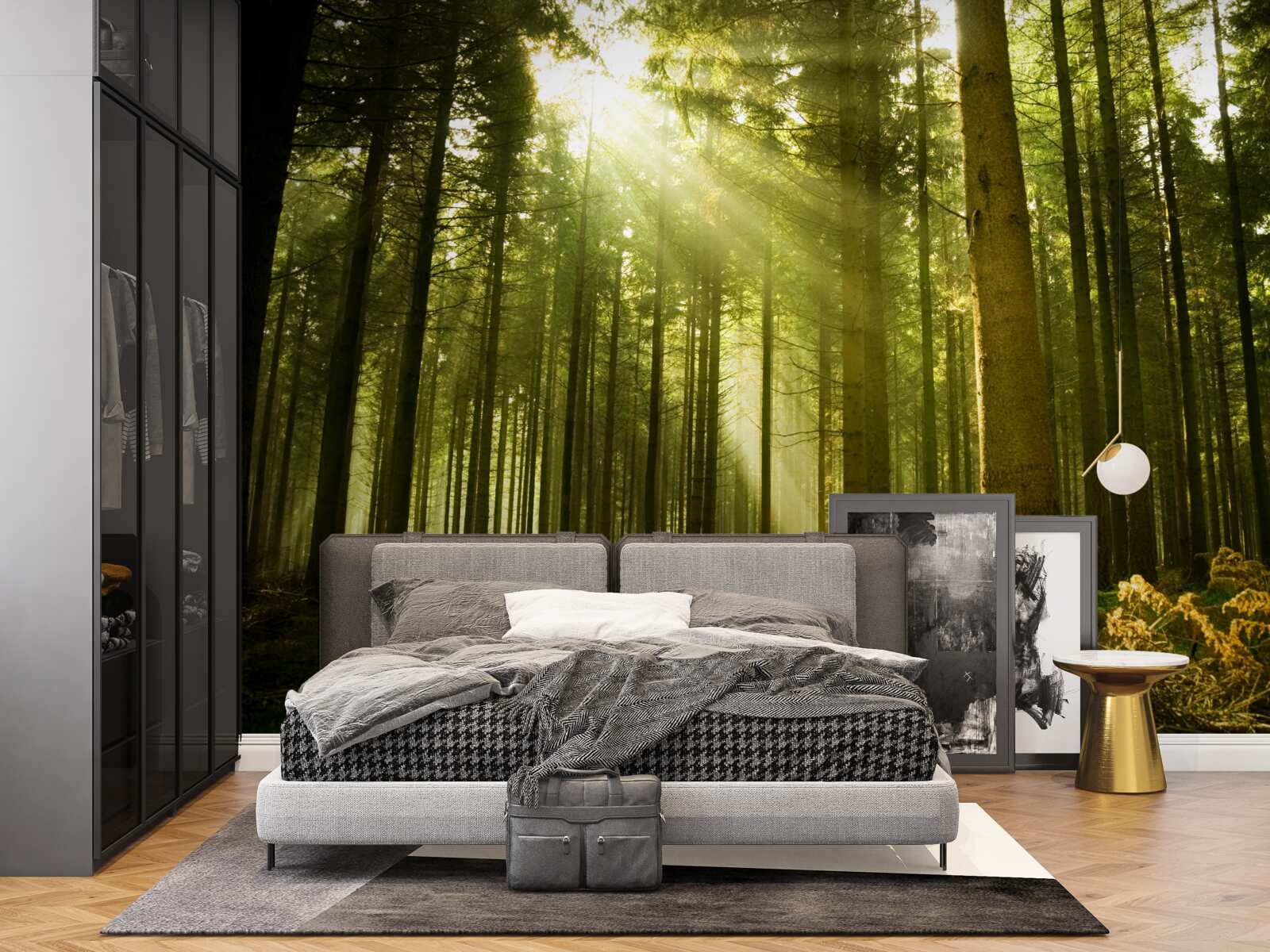 Fototapeta slnečné lúče osvetľujú les