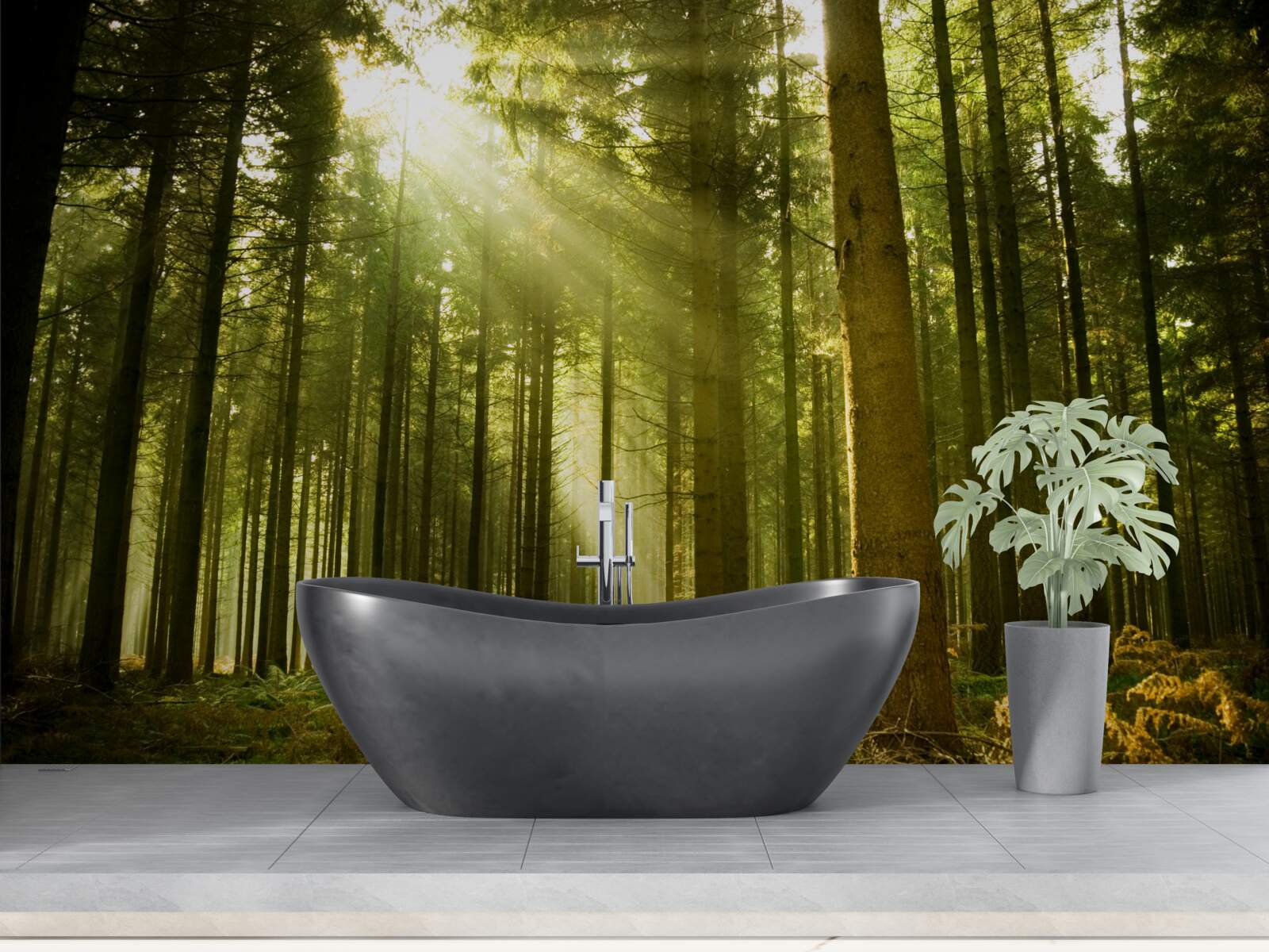 Fototapeta slnečné lúče osvetľujú les