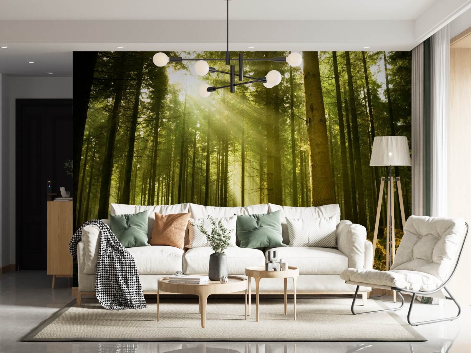 Fototapeta slnečné lúče osvetľujú les