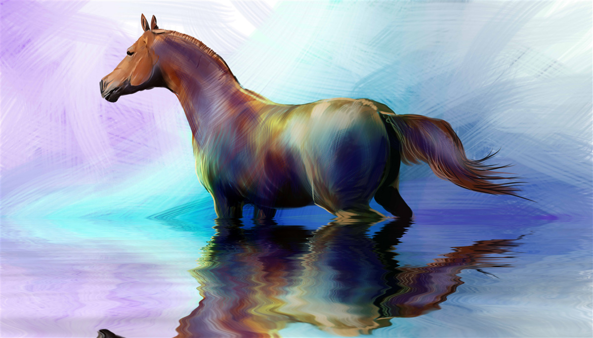 Fototapeta kôň je vo vode