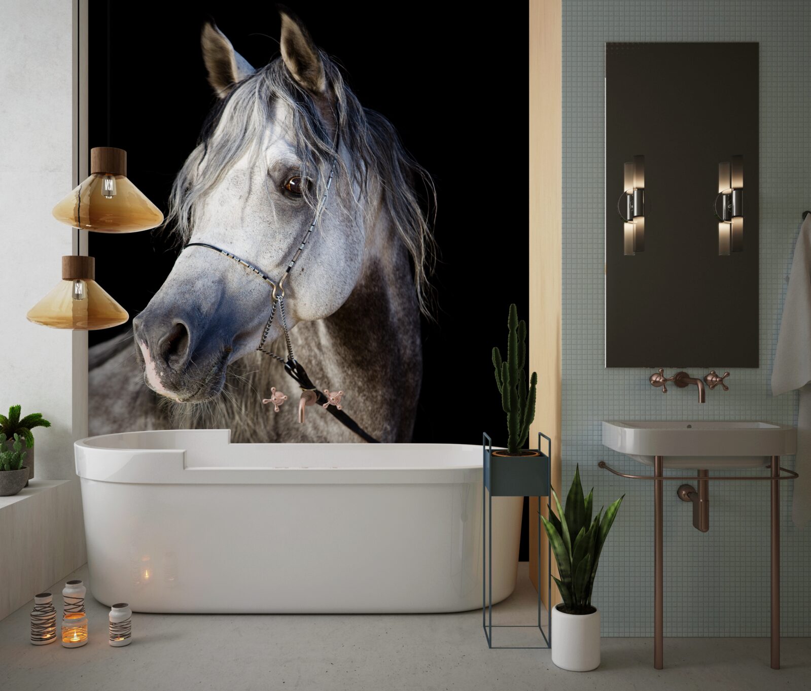 Fototapeta elegantná silueta koňa na tmavom pozadí