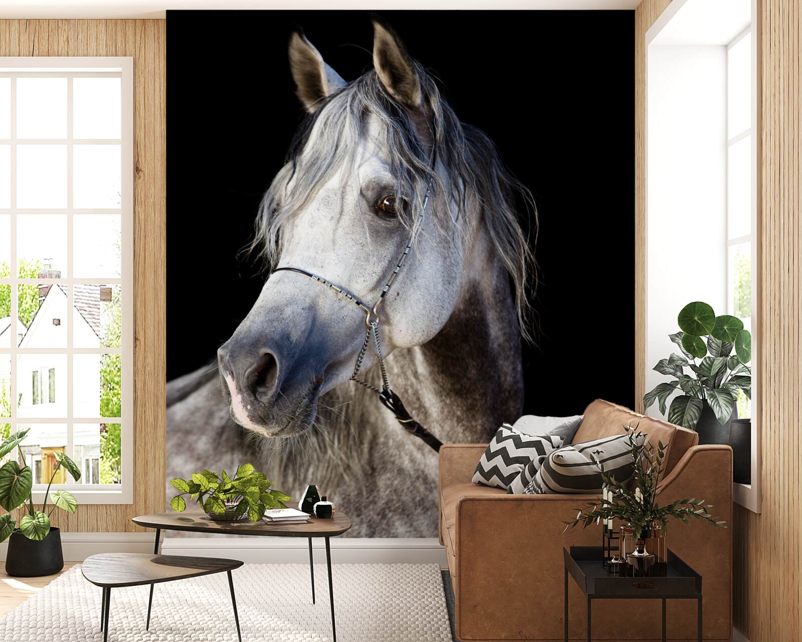 Fototapeta elegantná silueta koňa na tmavom pozadí