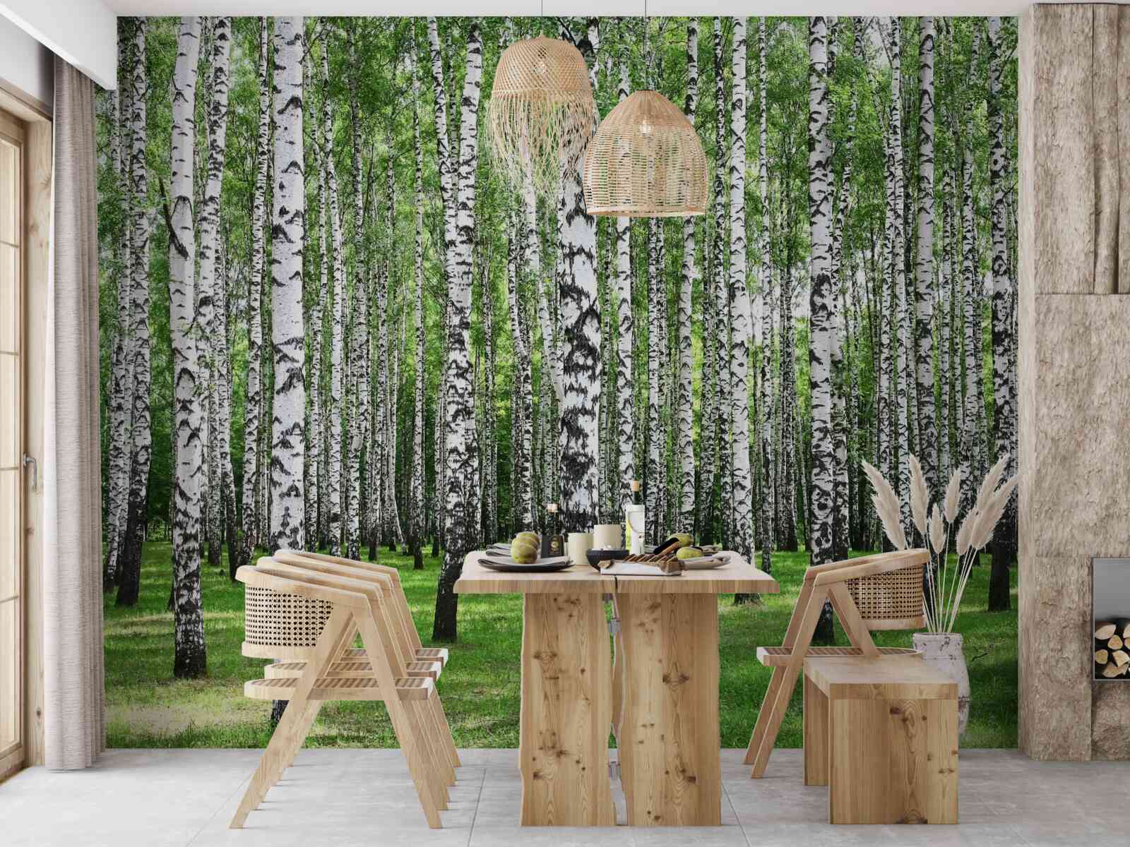 Fototapeta rozľahlý brezový háj