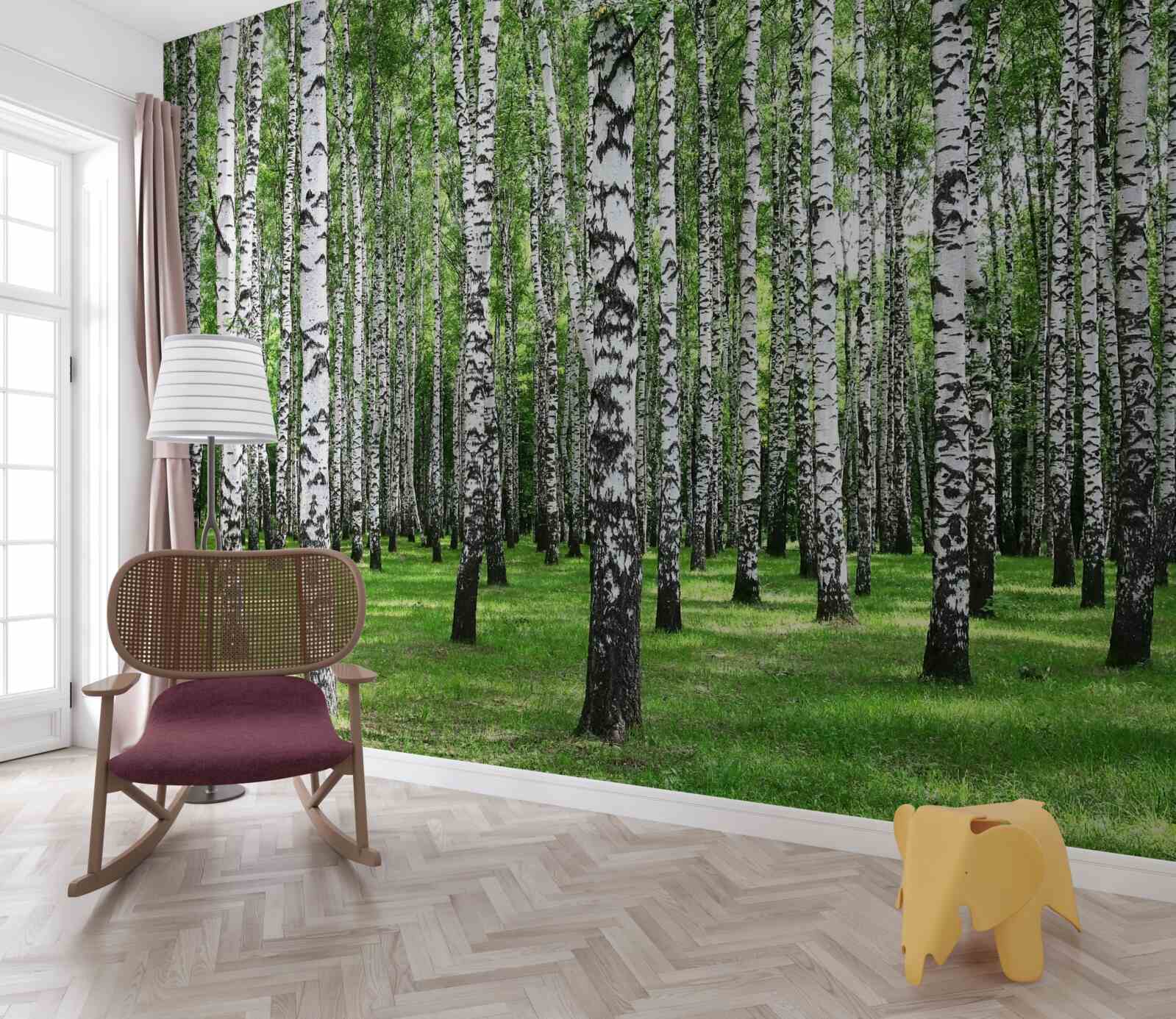 Fototapeta rozľahlý brezový háj