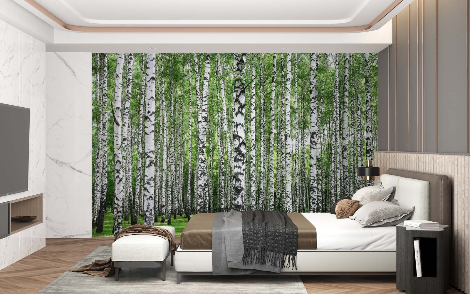 Fototapeta rozľahlý brezový háj