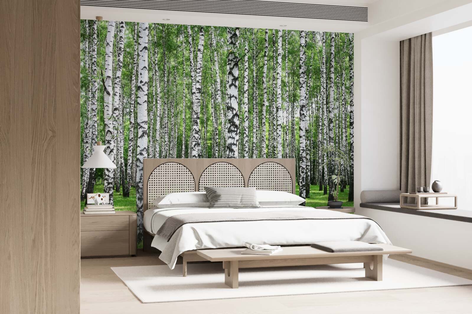 Fototapeta rozľahlý brezový háj