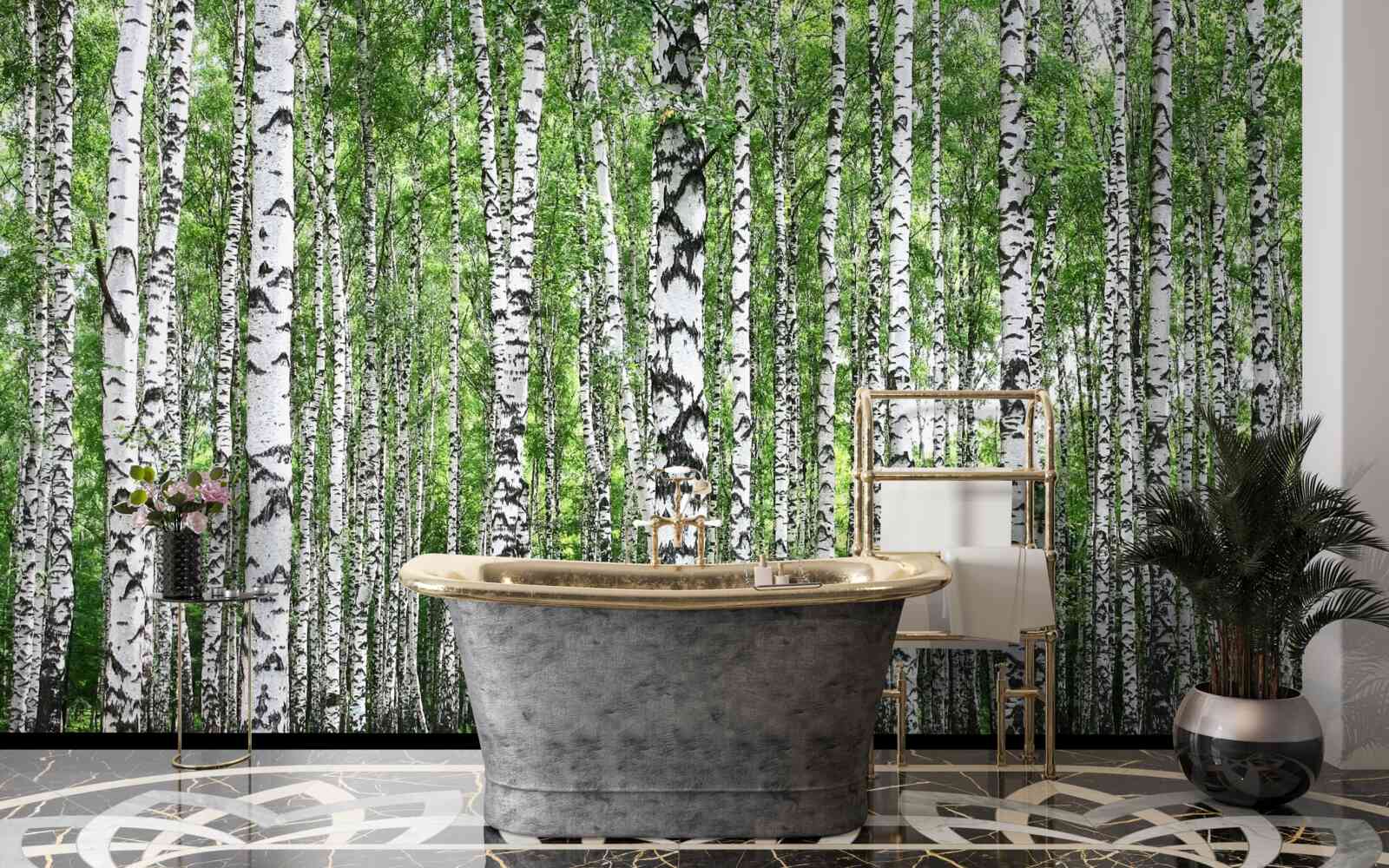 Fototapeta rozľahlý brezový háj