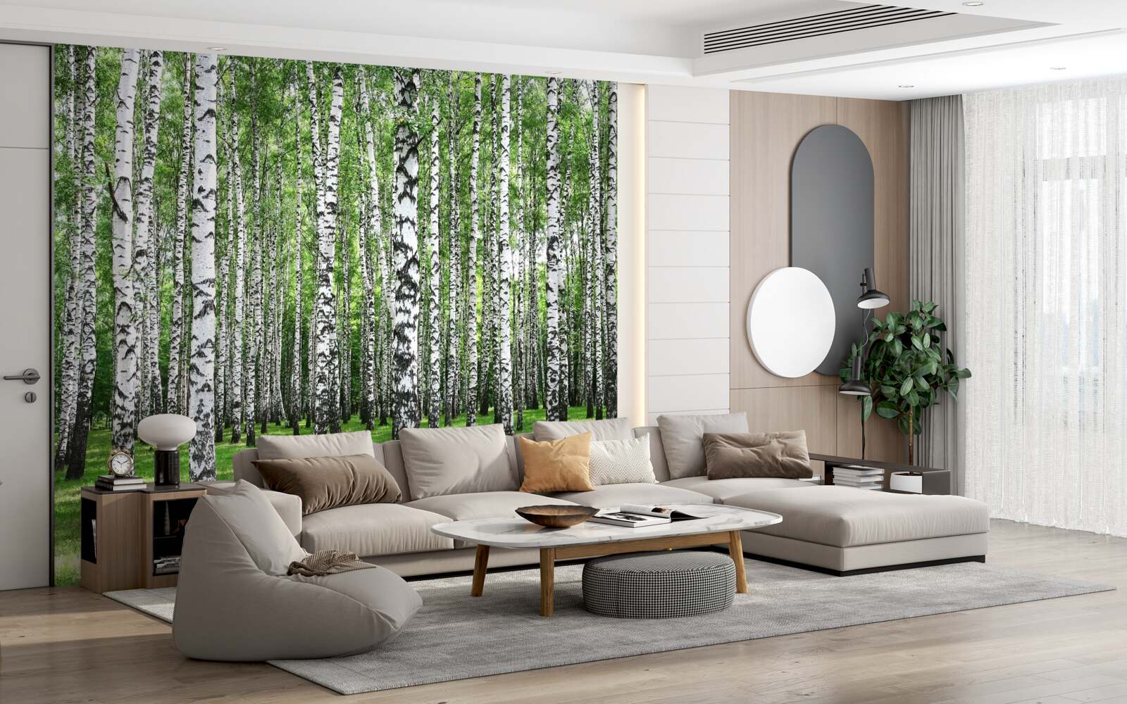 Fototapeta rozľahlý brezový háj