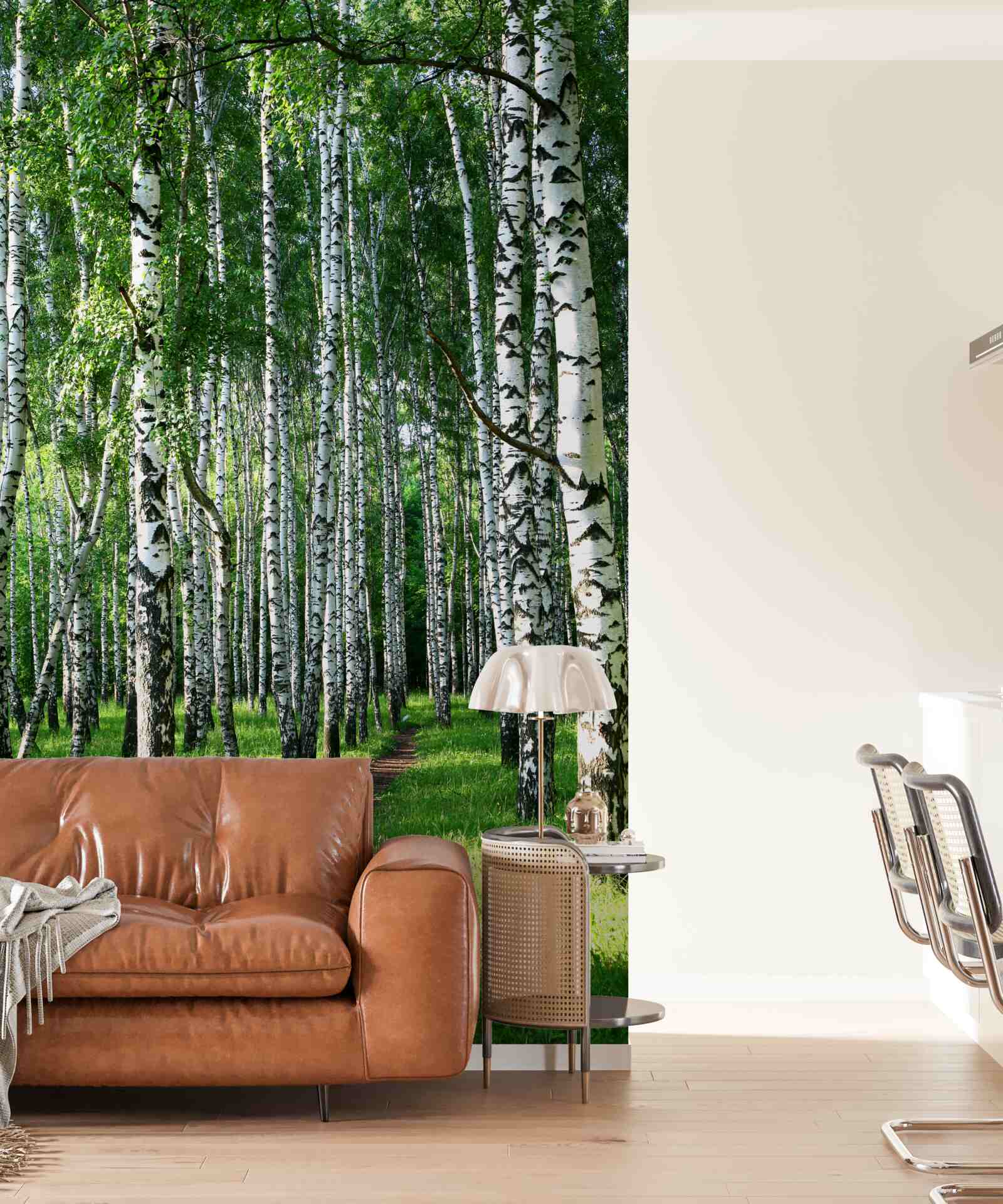 Fototapeta cesta vedúca cez brezový háj