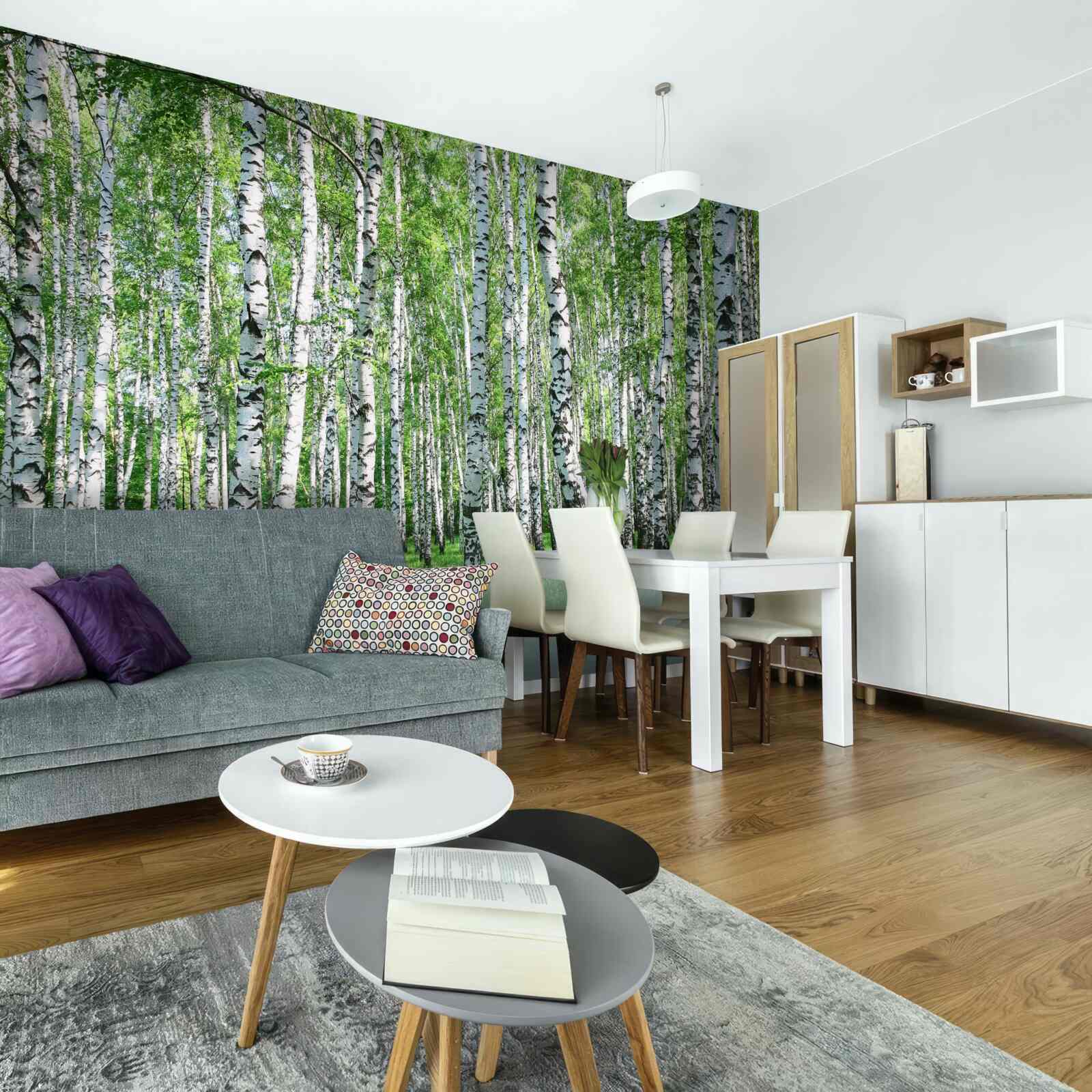 Fototapeta v lese je veľa briez