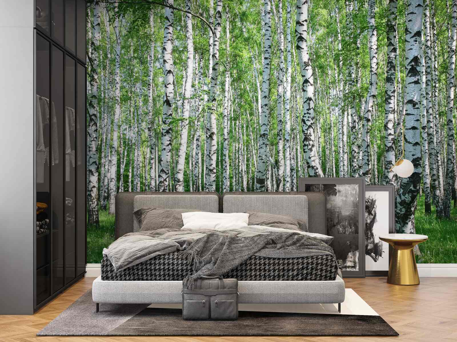 Fototapeta v lese je veľa briez