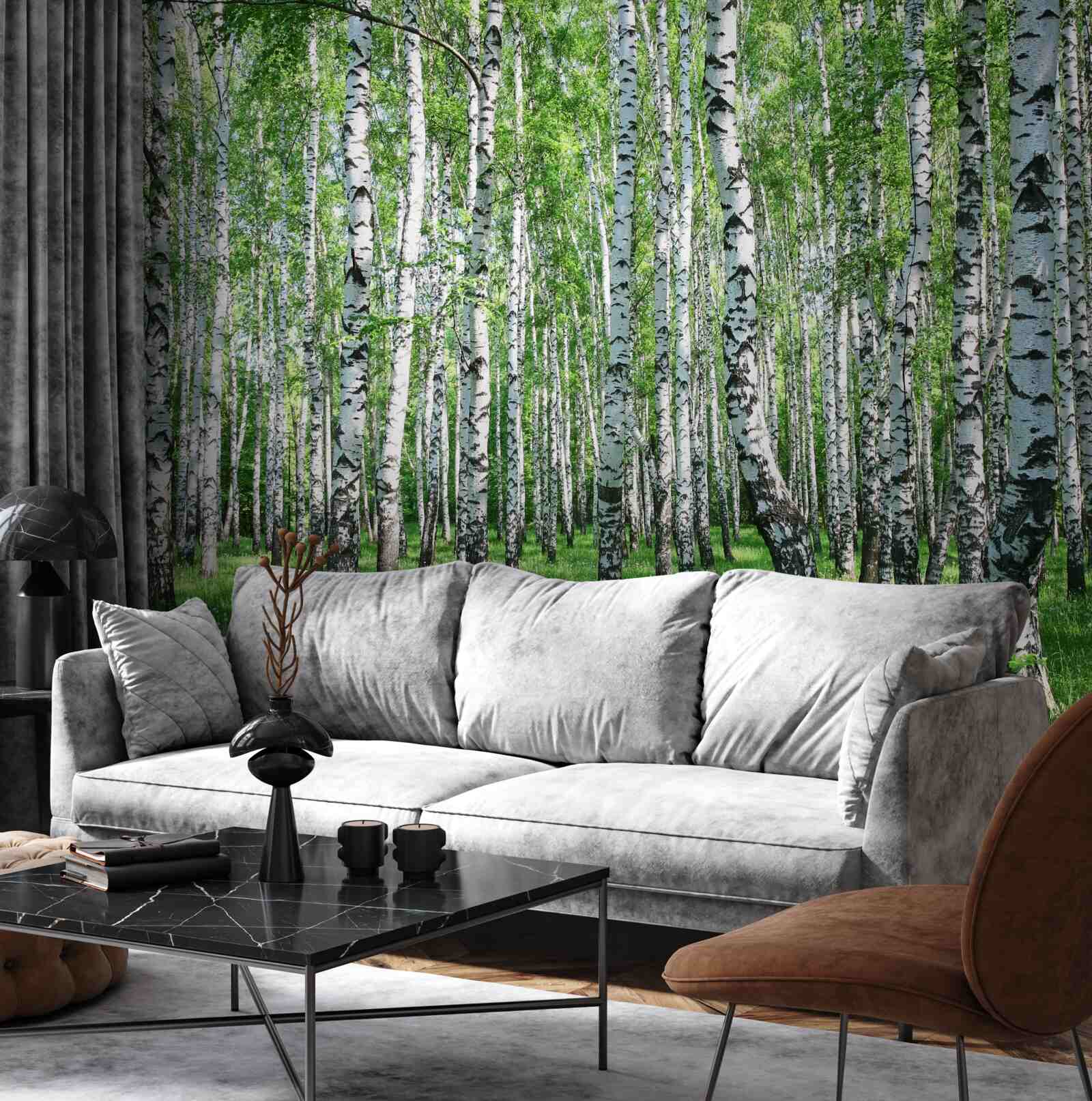 Fototapeta v lese je veľa briez