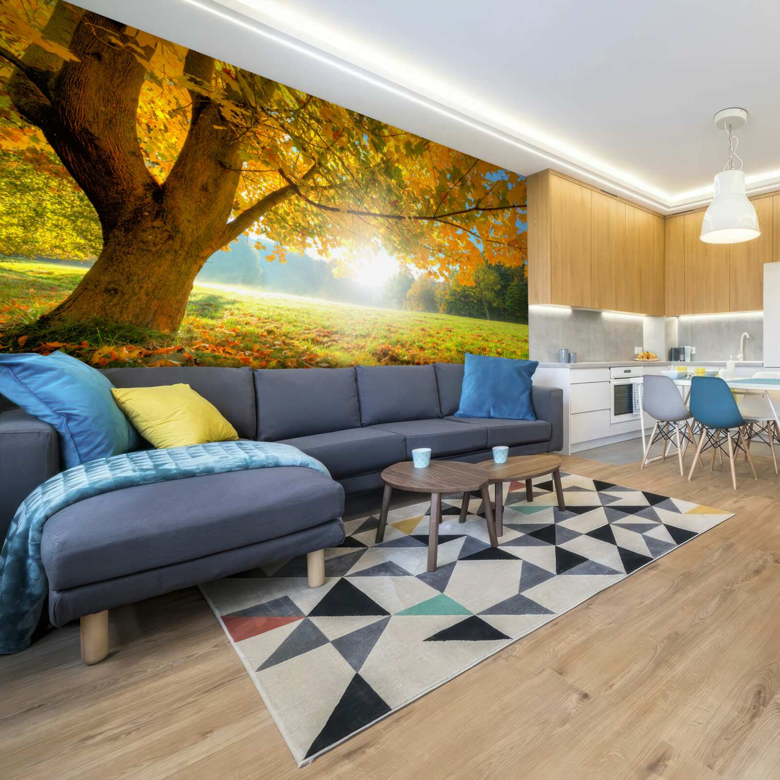 Fototapeta jesenný les osvetlený slnkom