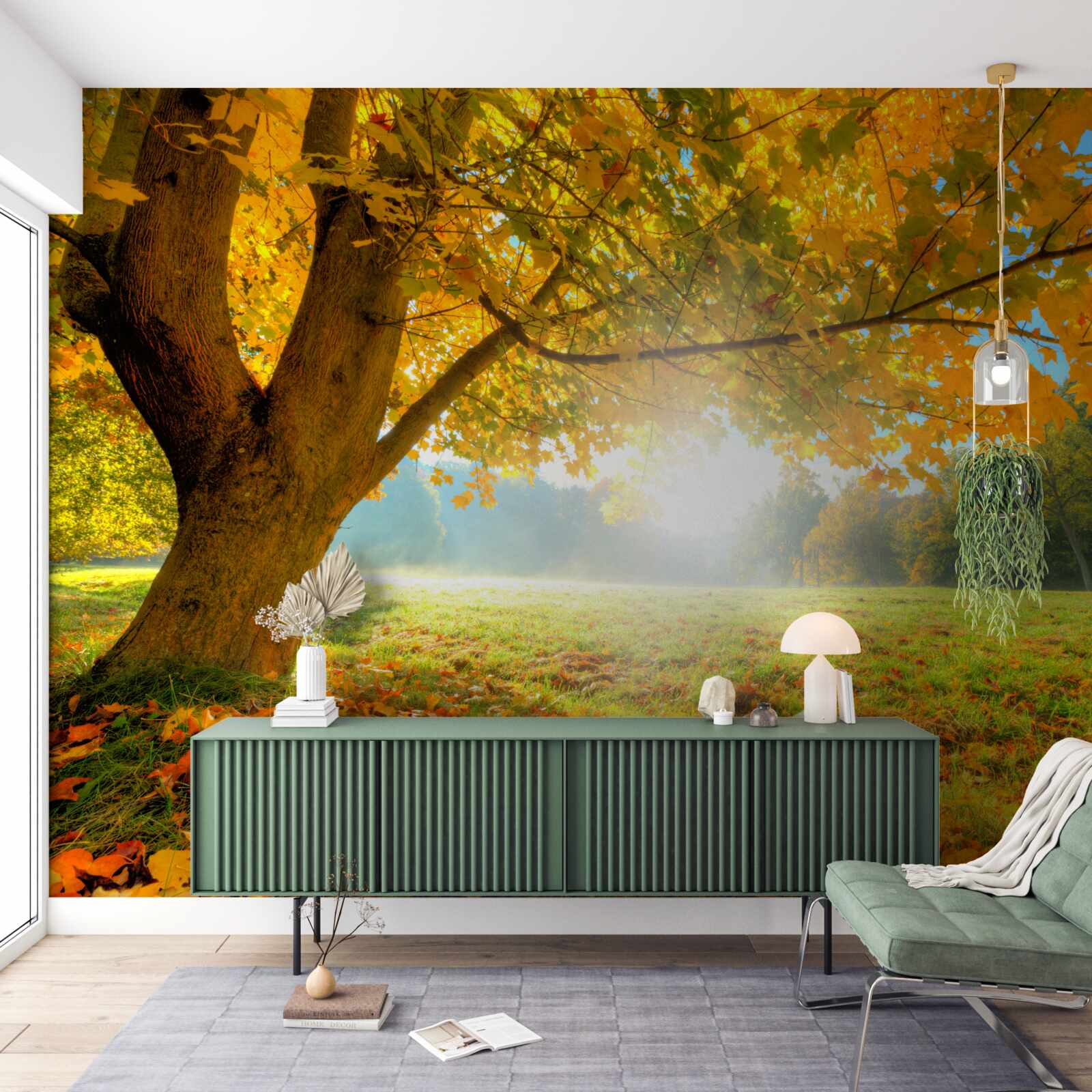 Fototapeta jesenný les osvetlený slnkom