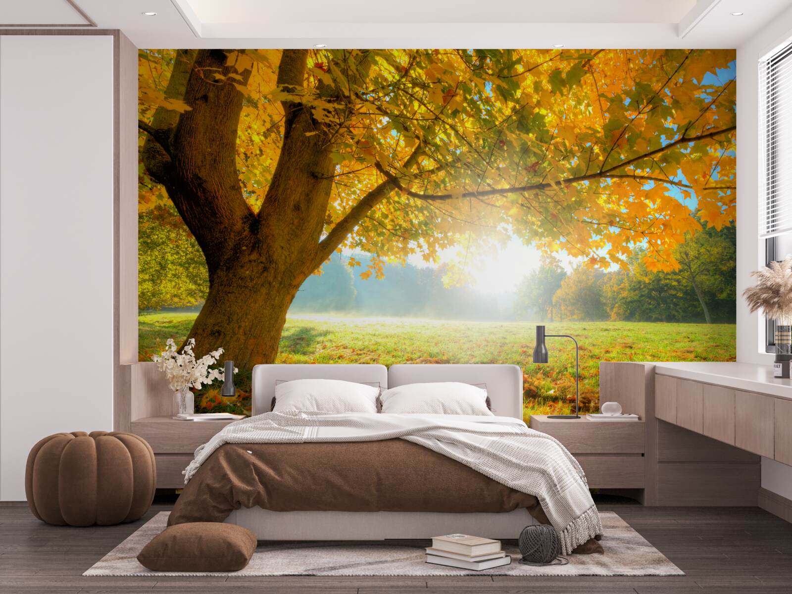 Fototapeta jesenný les osvetlený slnkom