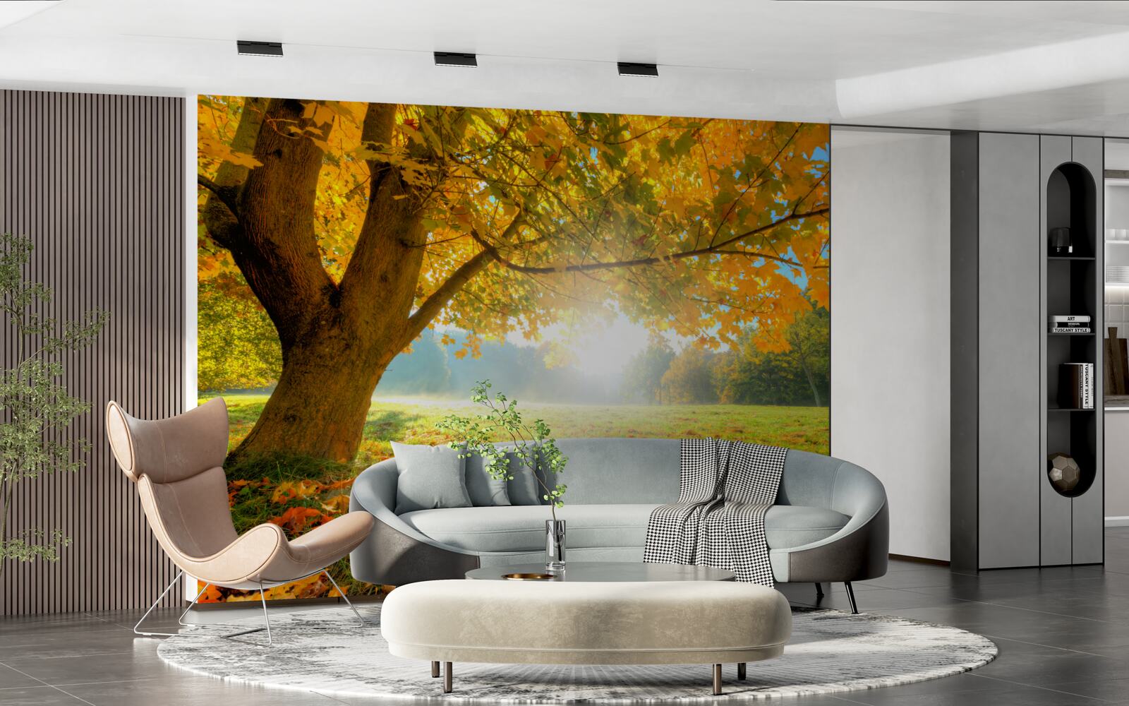 Fototapeta jesenný les osvetlený slnkom