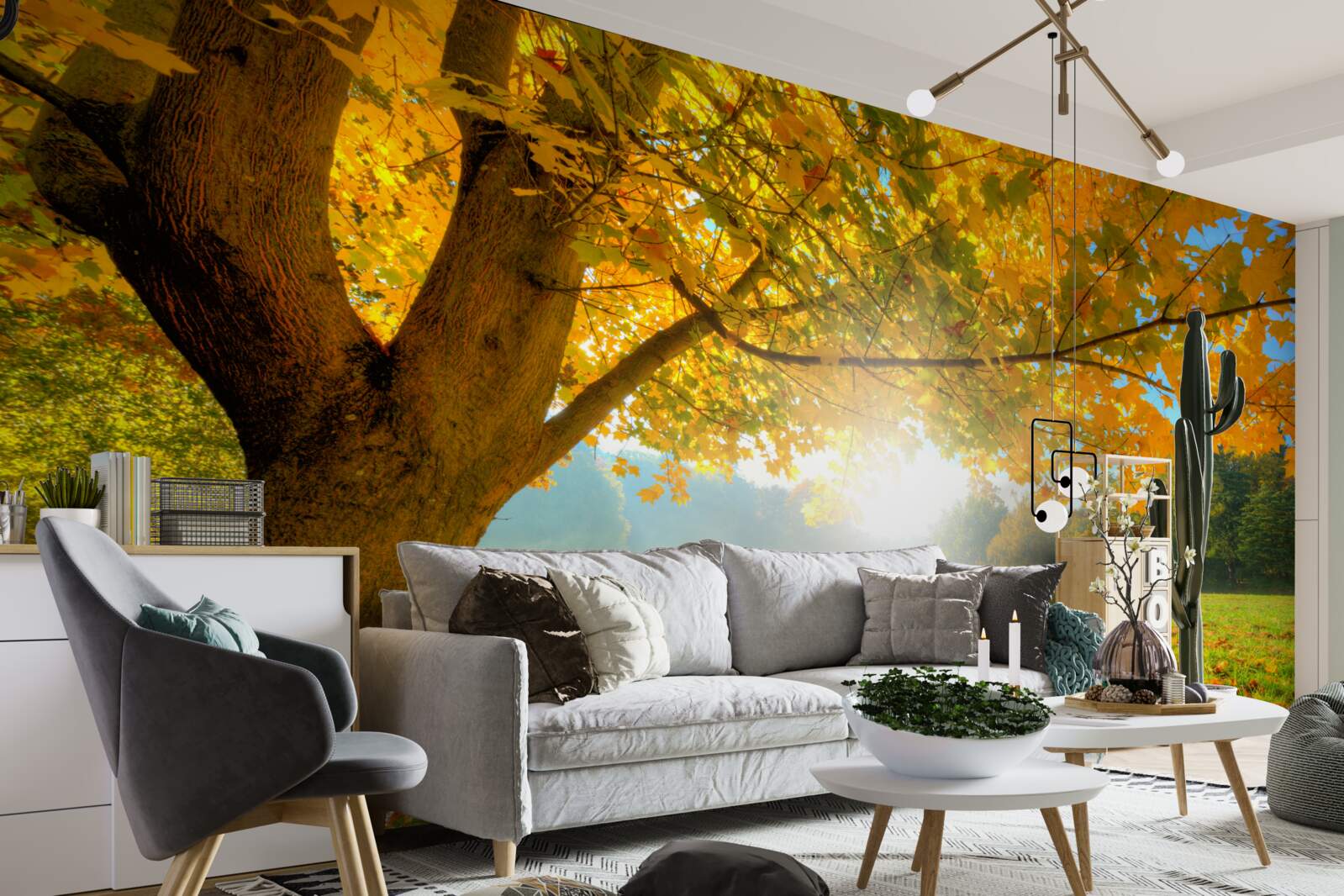 Fototapeta jesenný les osvetlený slnkom