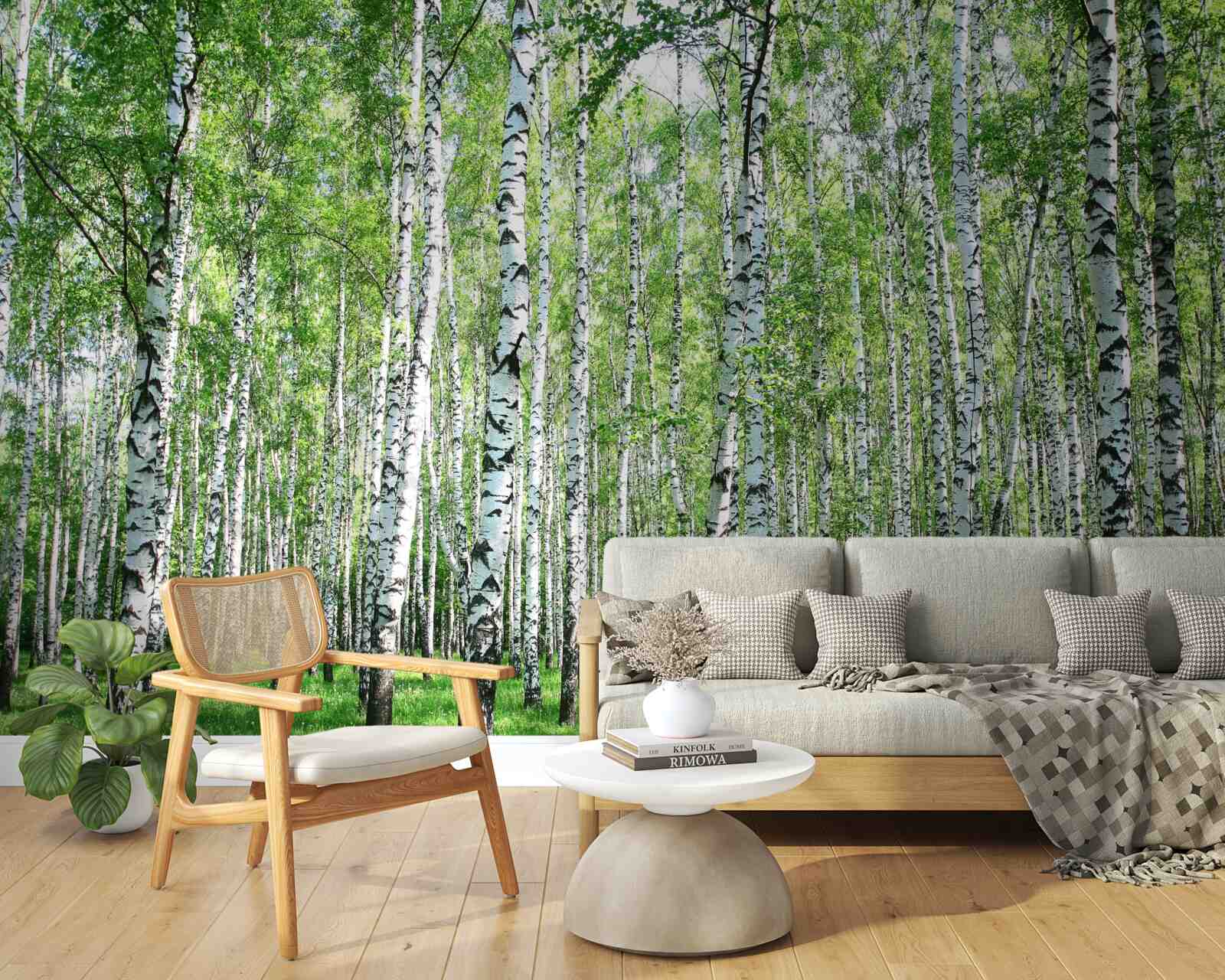 Fototapeta pôvabné, brezy smerom k oblohe