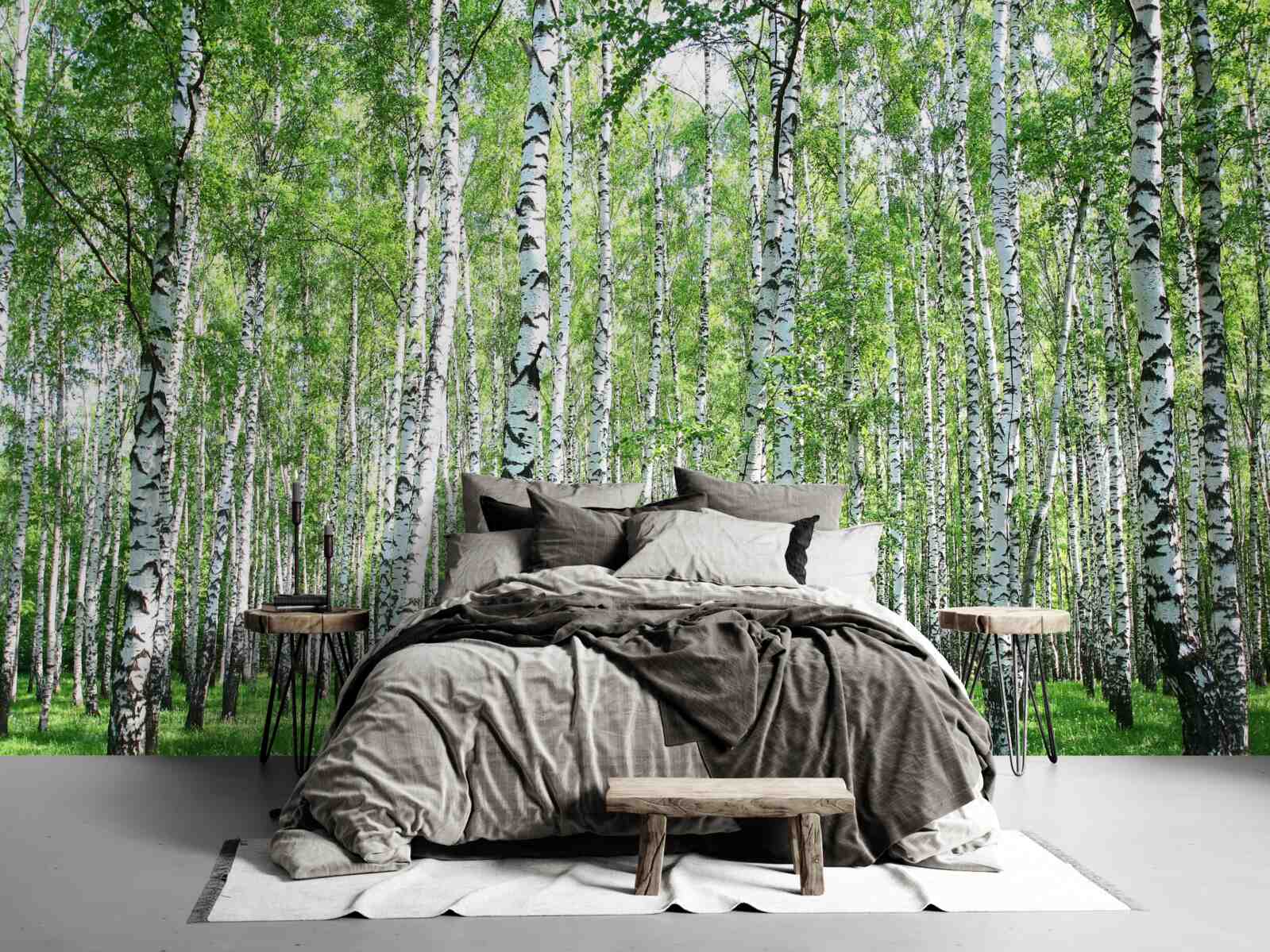 Fototapeta pôvabné, brezy smerom k oblohe