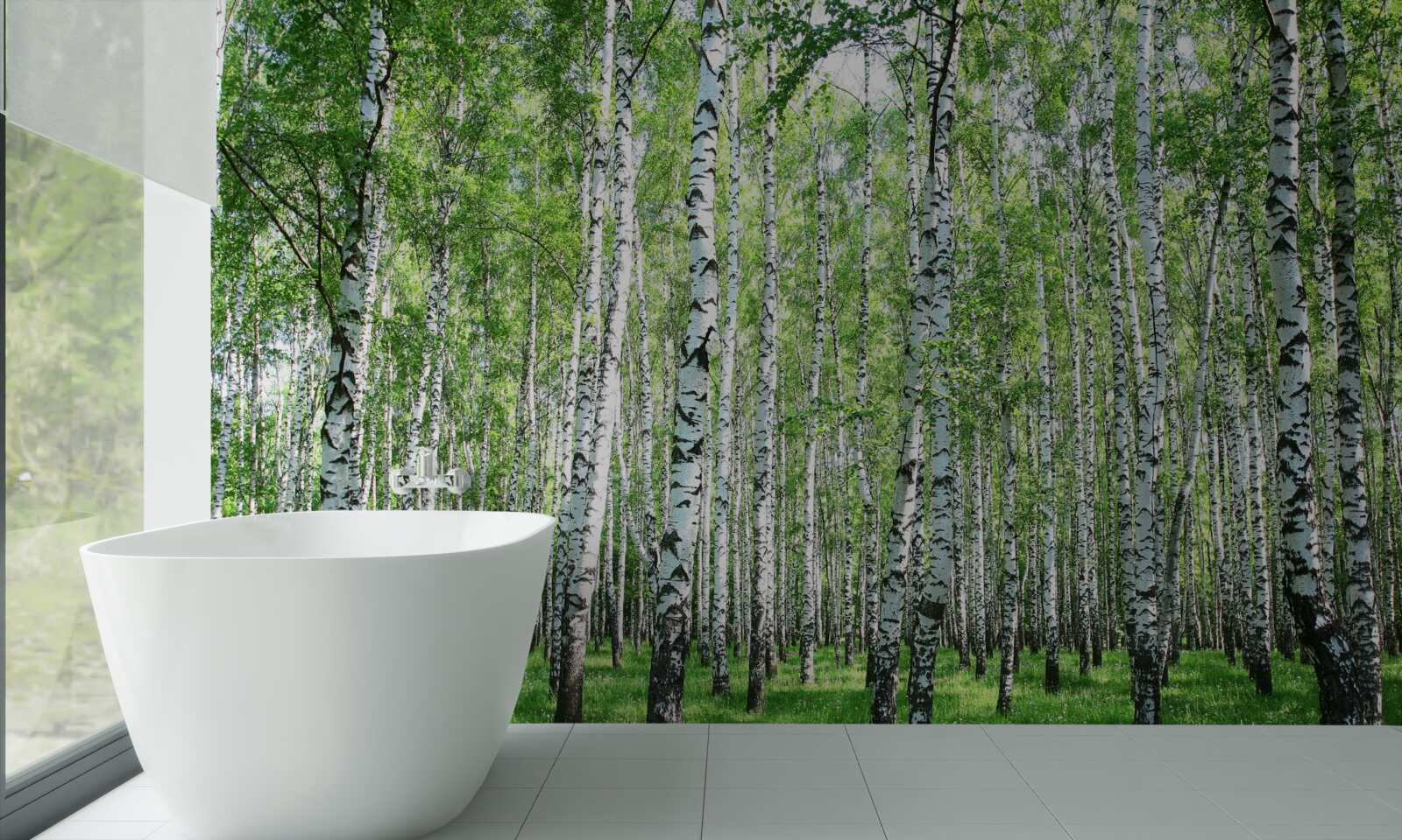 Fototapeta pôvabné, brezy smerom k oblohe