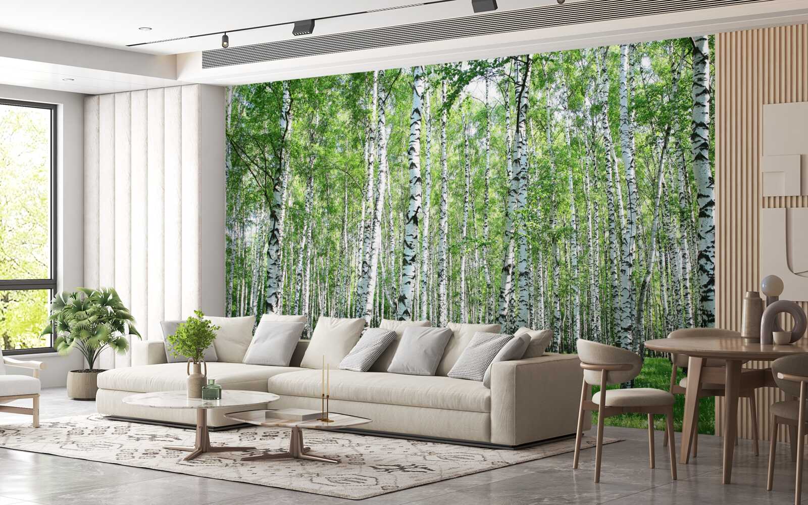 Fototapeta pôvabné, brezy smerom k oblohe