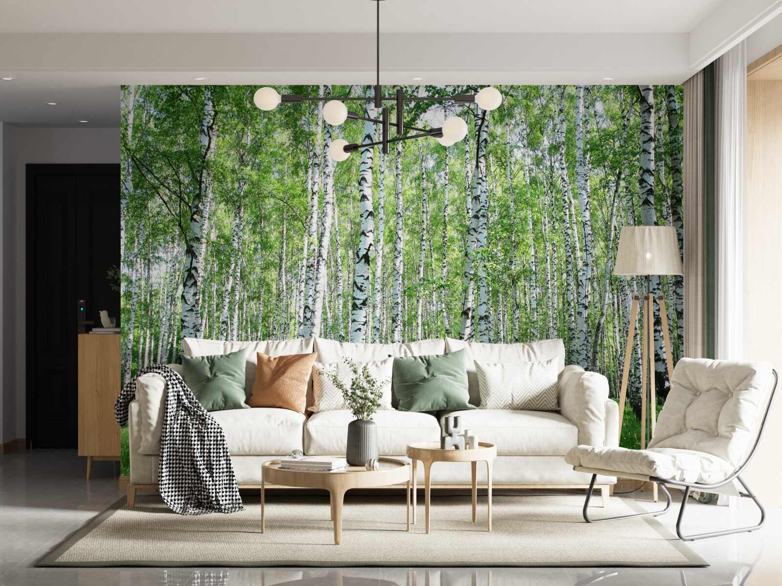 Fototapeta pôvabné, brezy smerom k oblohe