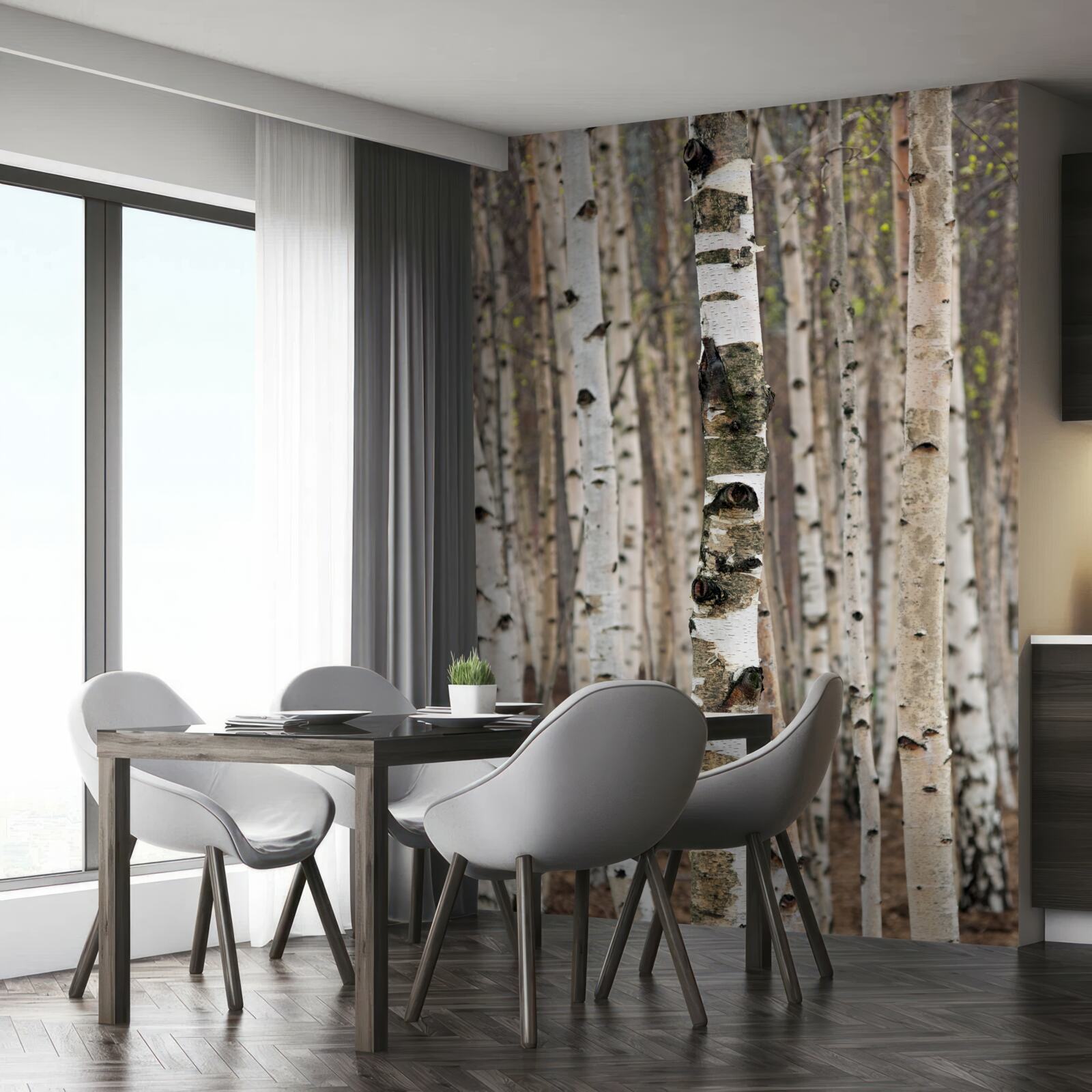 Fototapeta brezy v lese