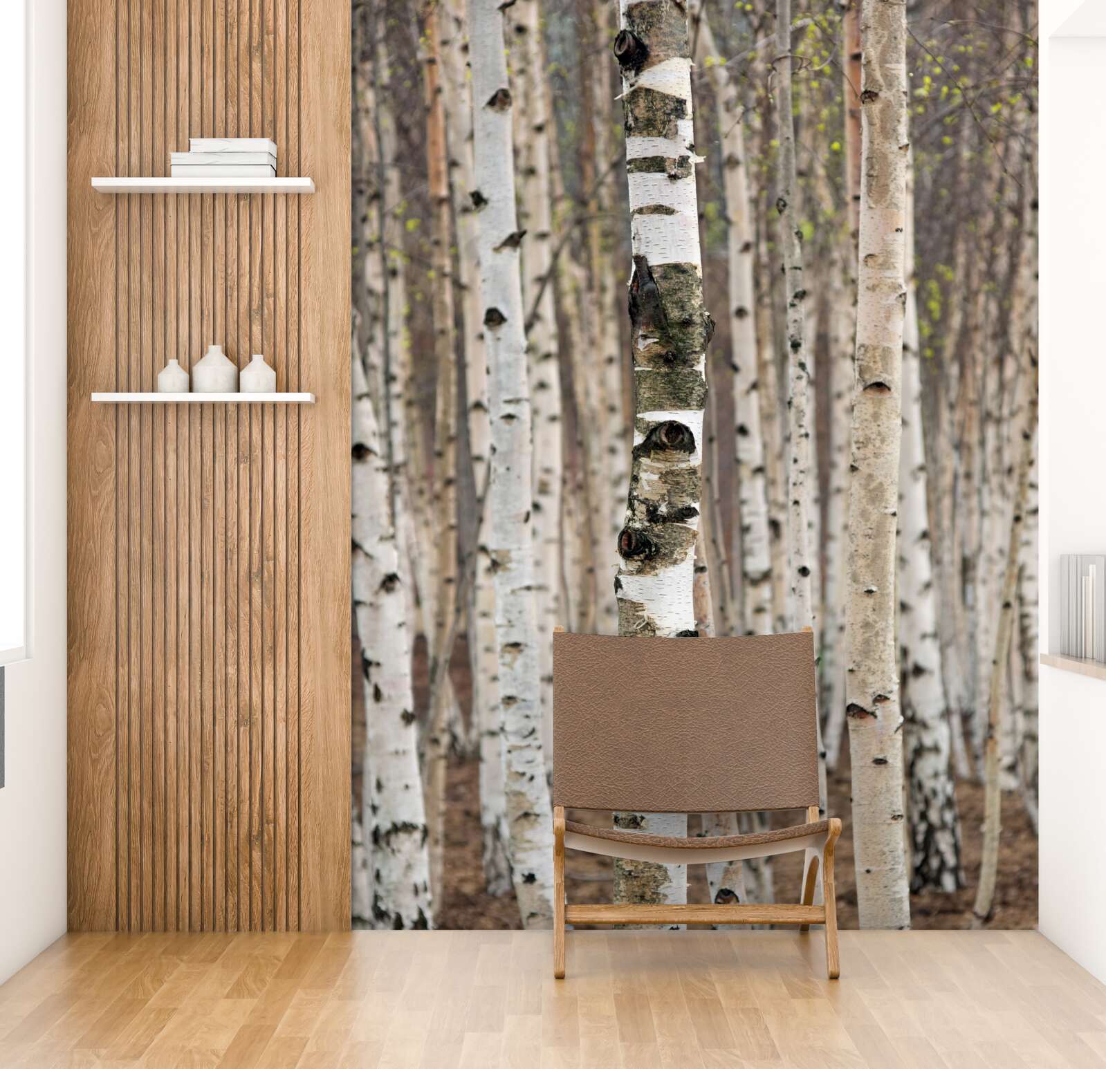 Fototapeta brezy v lese